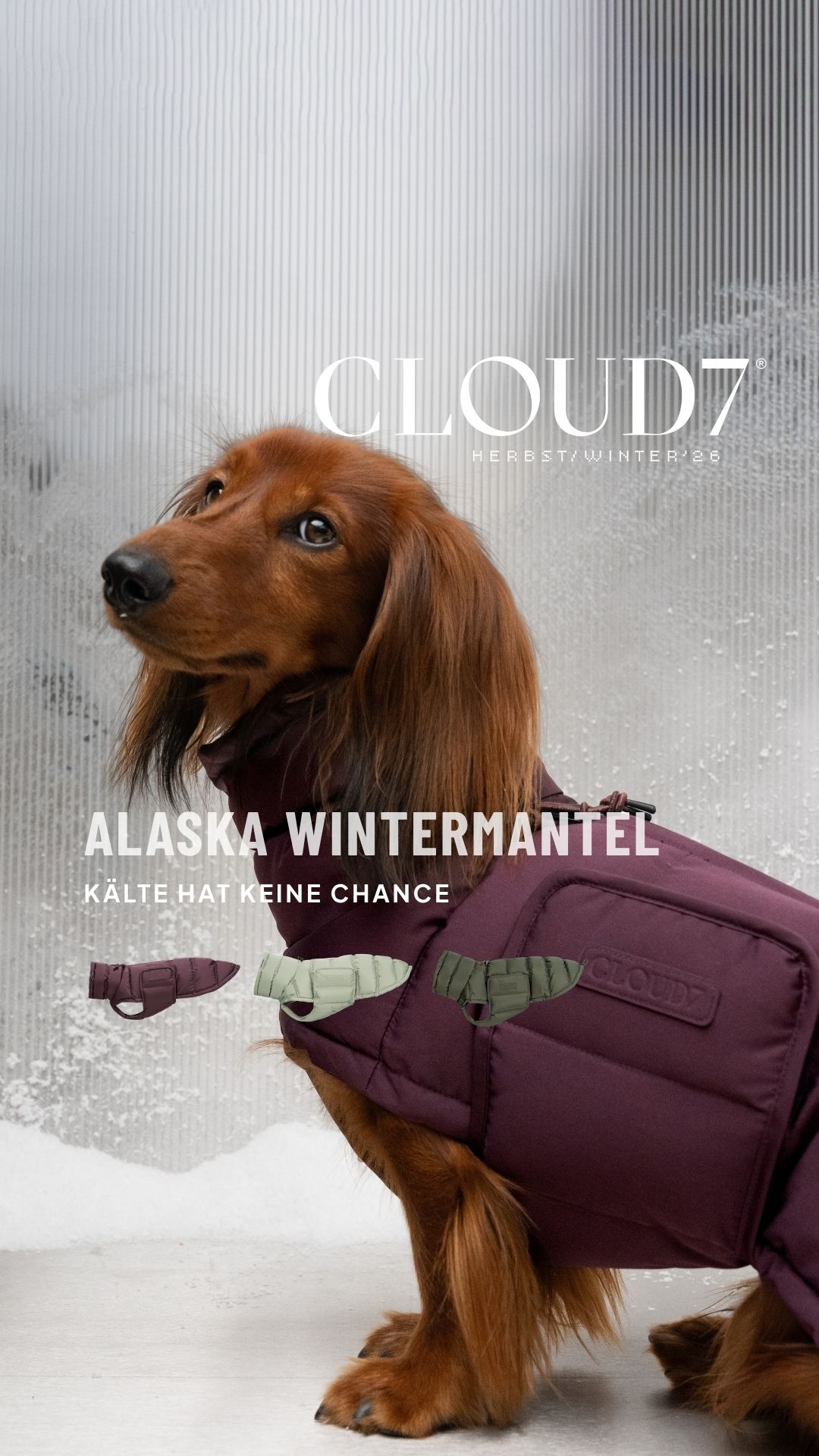 Cloud7 Facebook ad: Wetterfest für jeden Hund
