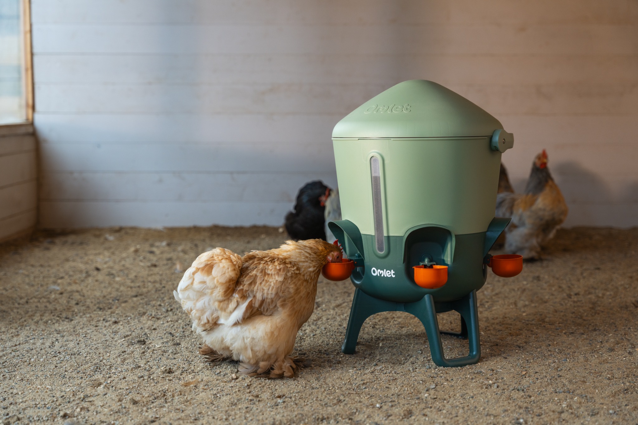Omlet - Les produits pour vos animaux Facebook ad