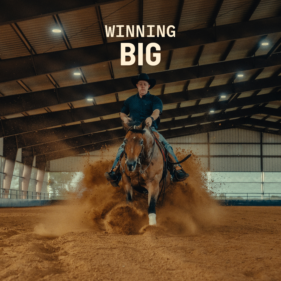 Purina Horse Facebook ad: Being an Animal Person means noticing the small…