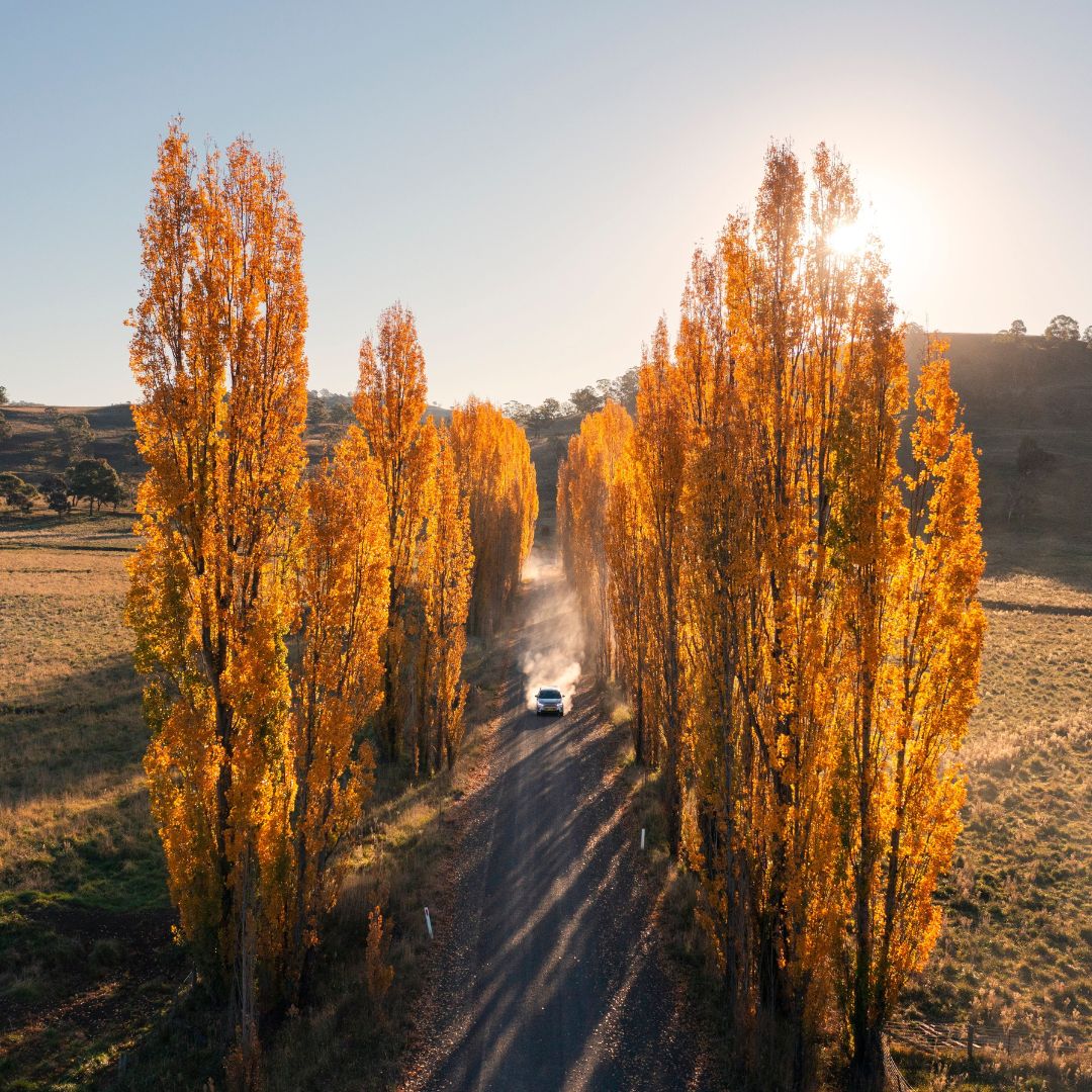 Caravan & Camping NSW Facebook ad
