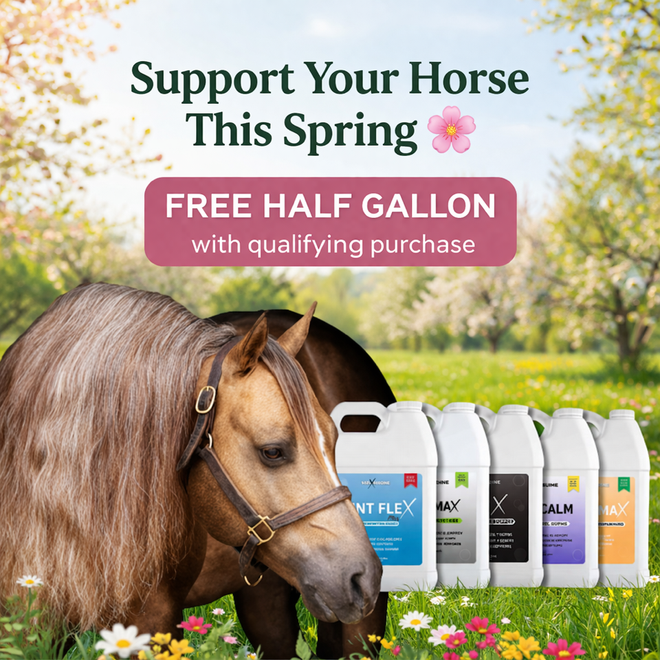 100X Equine Facebook ad