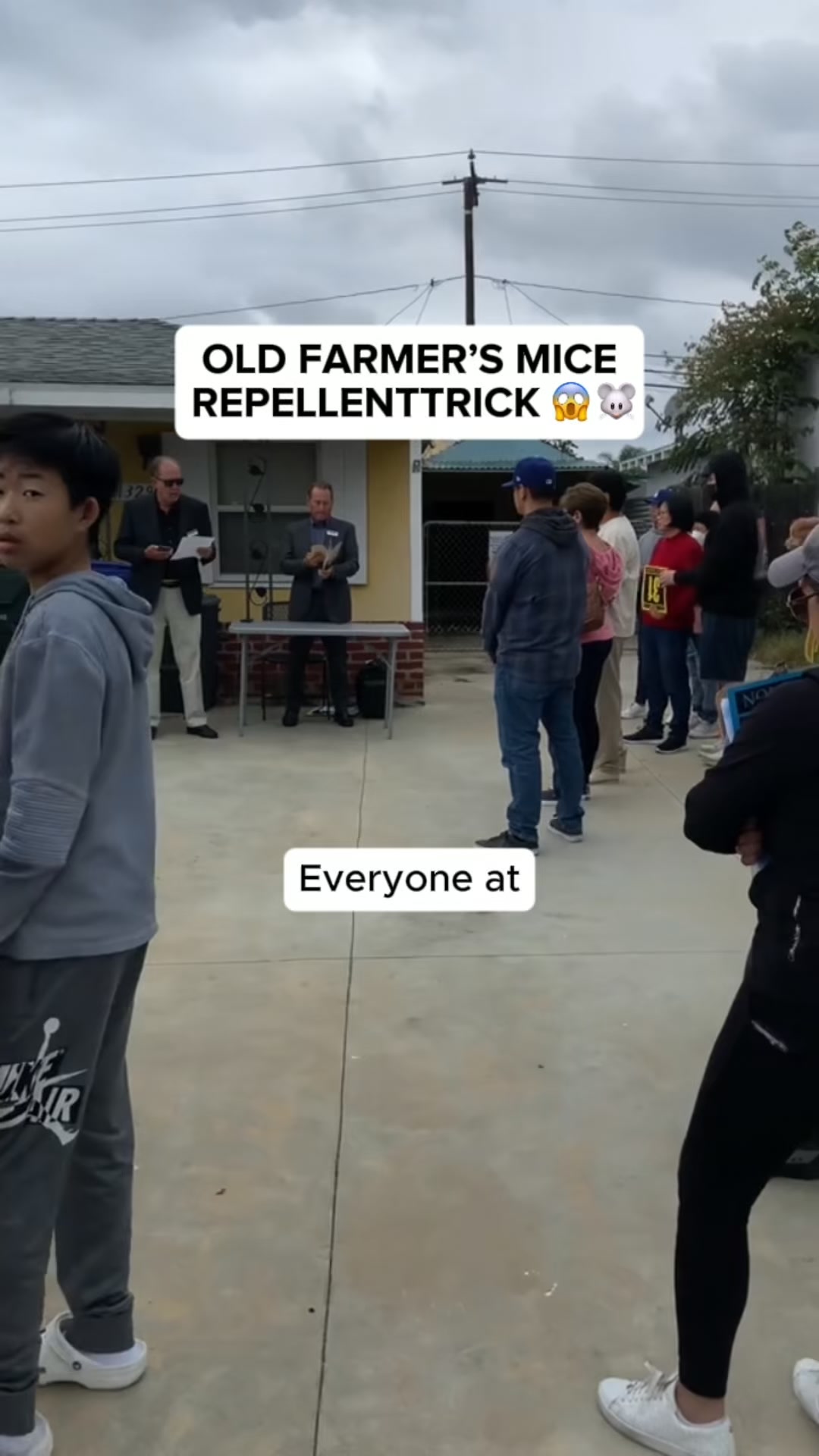 Sofyre Facebook ad: Barn Mice Gone in 48 Hours