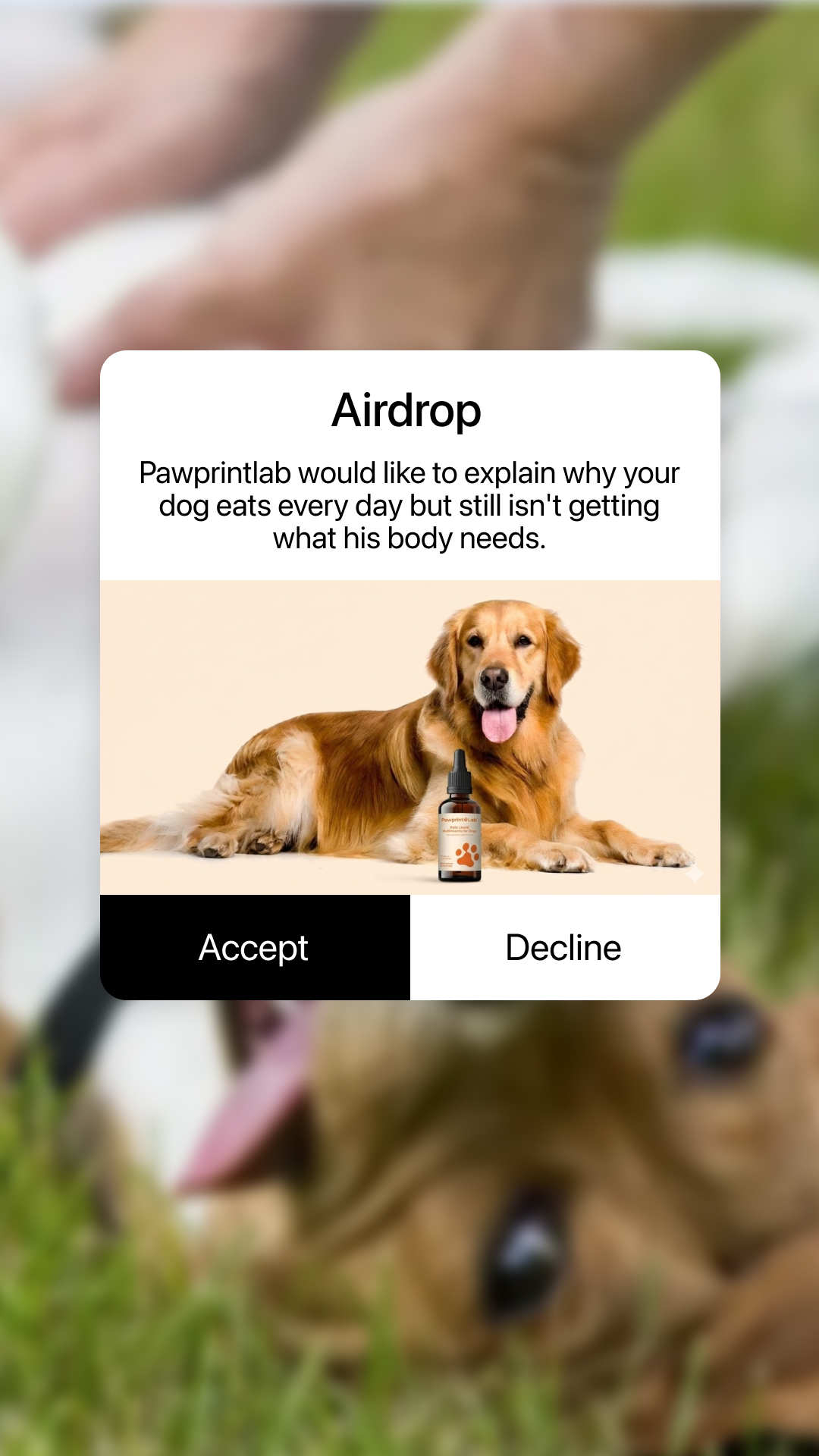 Pawprint Lab Facebook ad from Mar 7, 2026