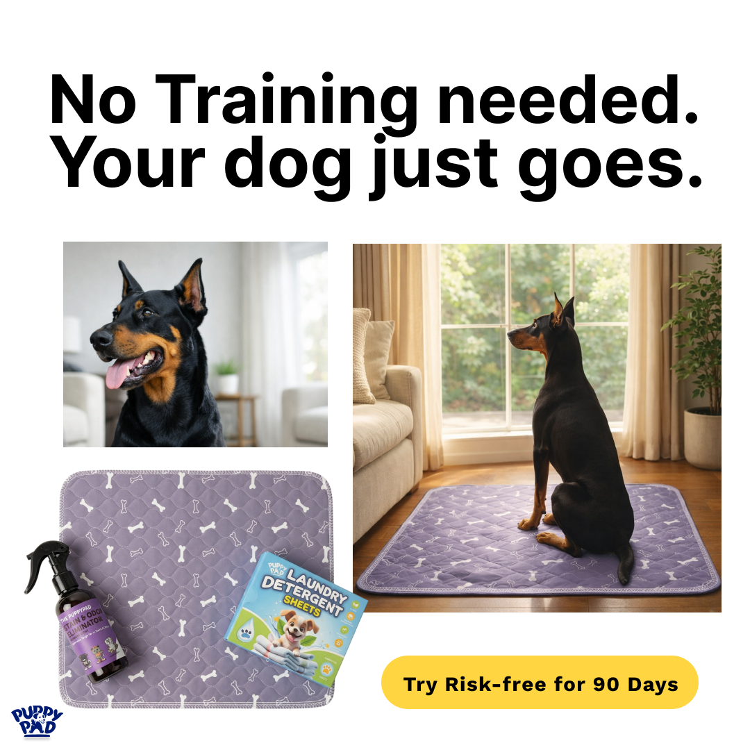 PuppyPad Facebook ad