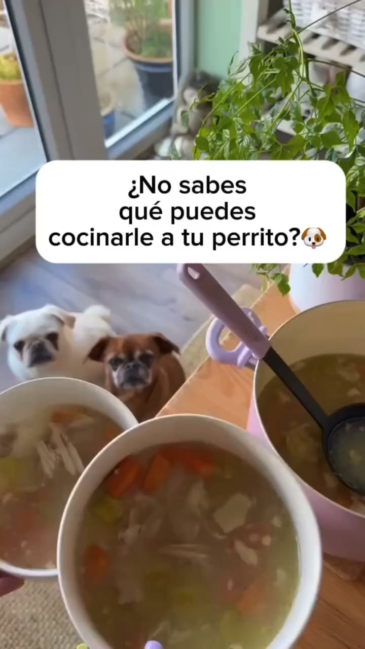 Emprende y aprende Facebook ad: Recibe primero