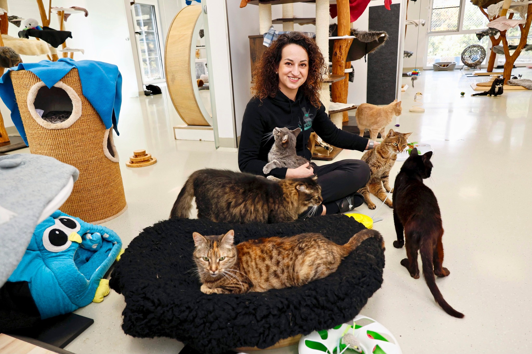 Paradies für Handicats Katzenhoffnung Facebook ad: Gnadenhof mit 24-Stunden-Pflege für inkontinente &…