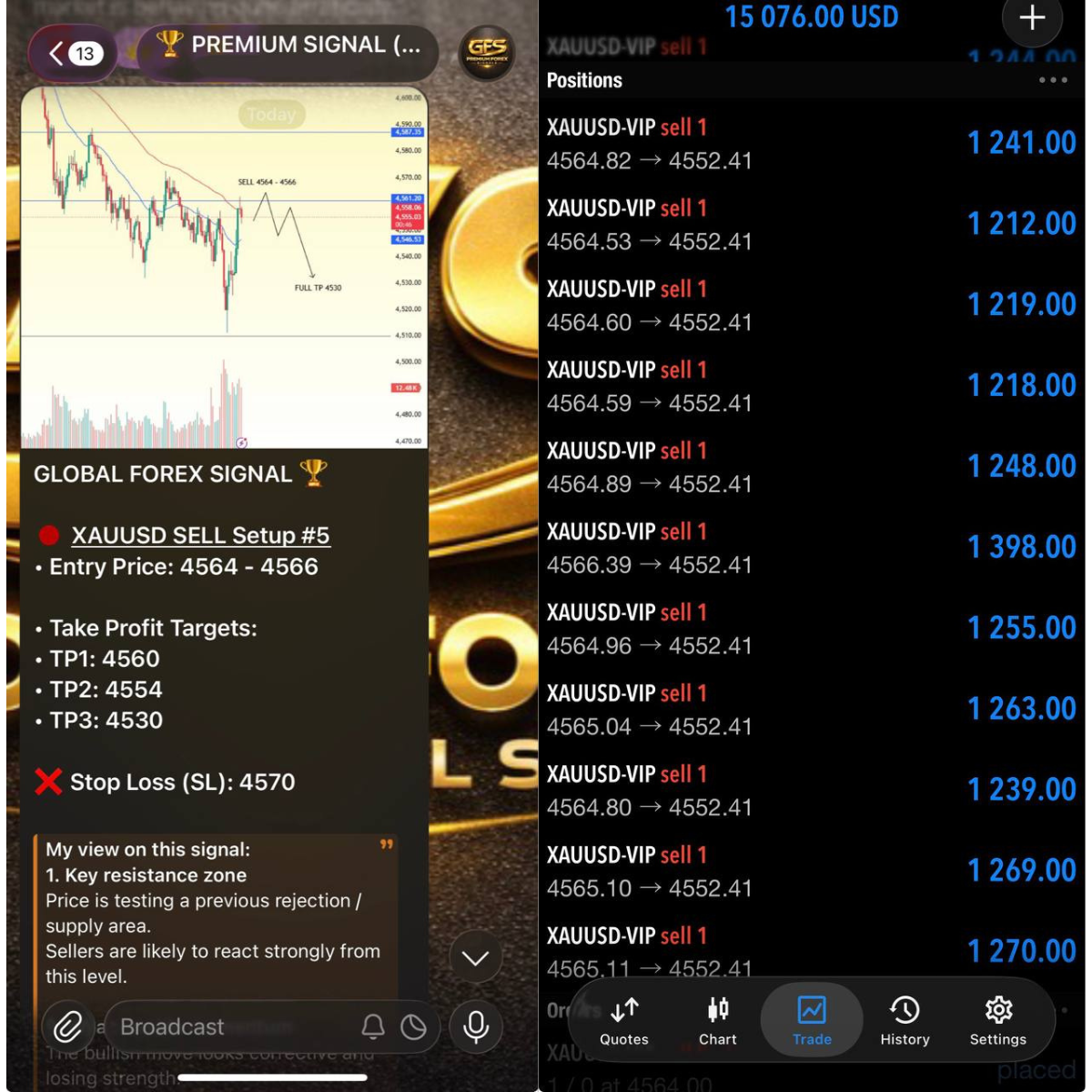 GFS - Global Fx Signal Facebook ad