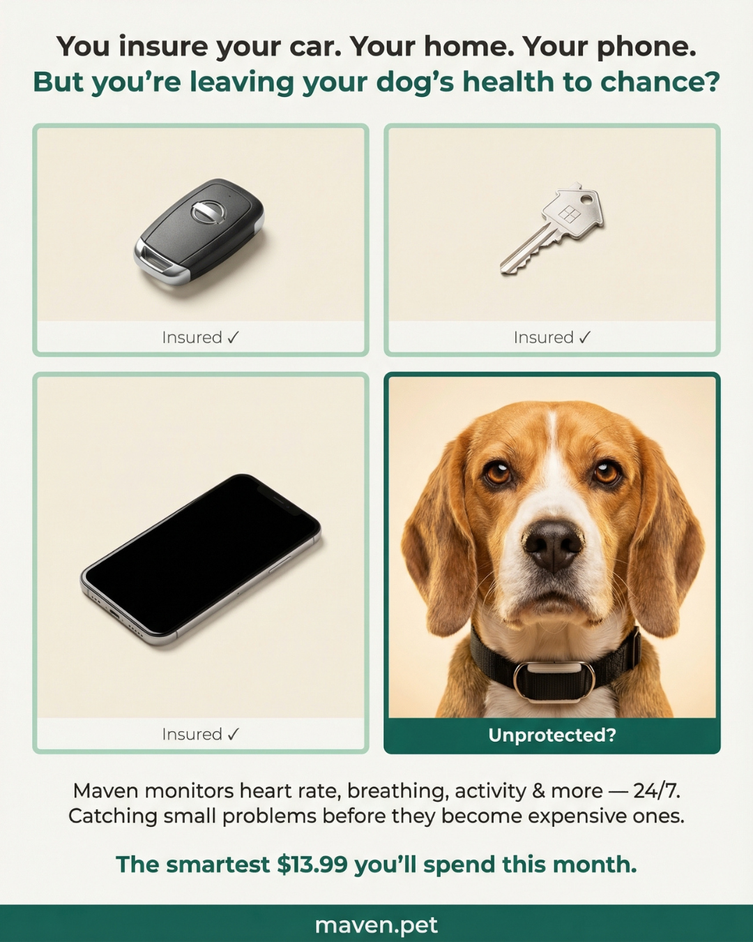 Maven Pet Facebook ad