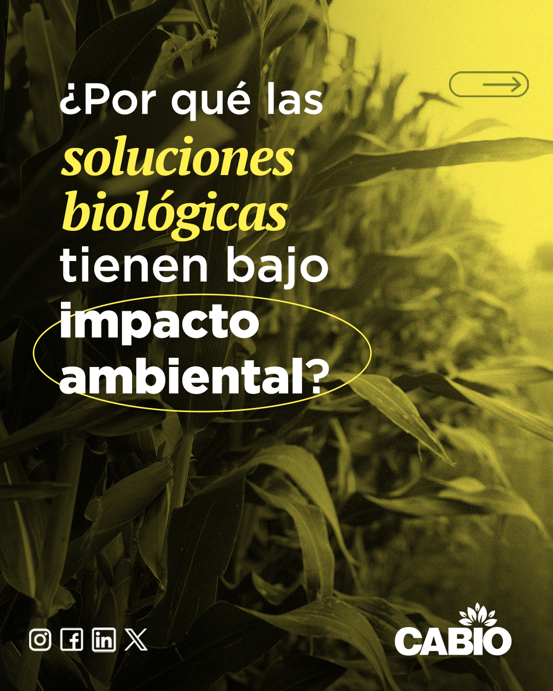 Camara Argentina de Bioinsumos Facebook ad: Las soluciones biológicas representan una alternativa…