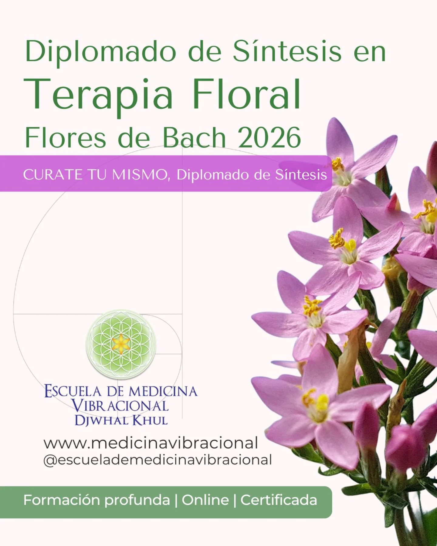 Escuela de Medicina Vibracional Facebook ad: Diplomado en Terapia Floral, Flores de Bach 2026