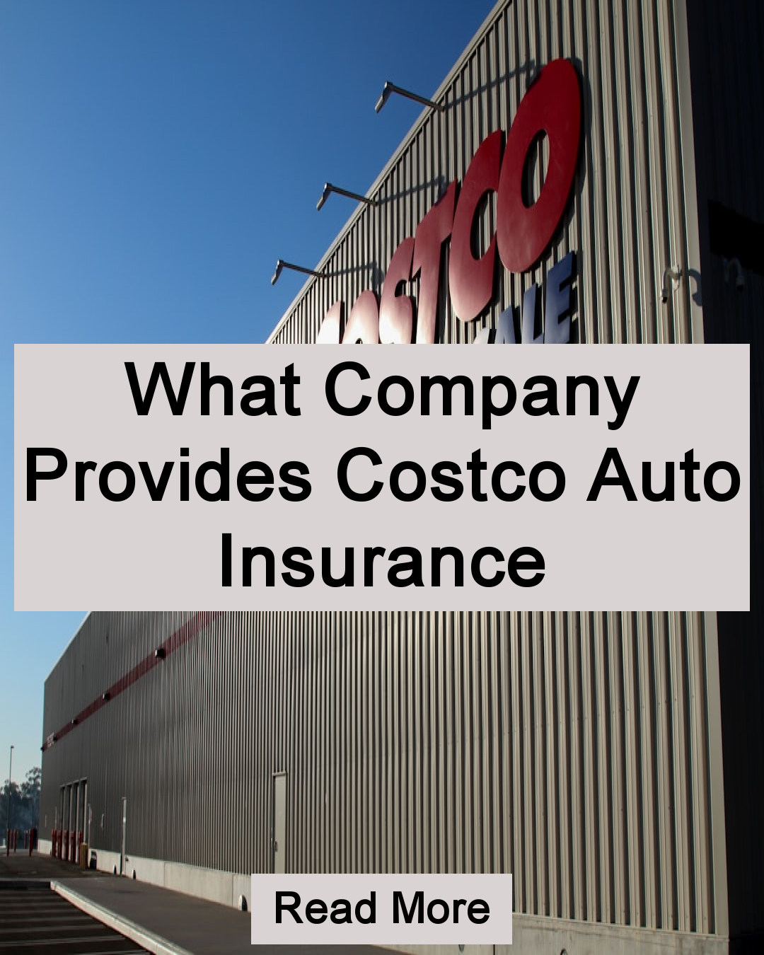 The Mega Digest Facebook ad: What Company Provides Costco Auto Insurance Read More