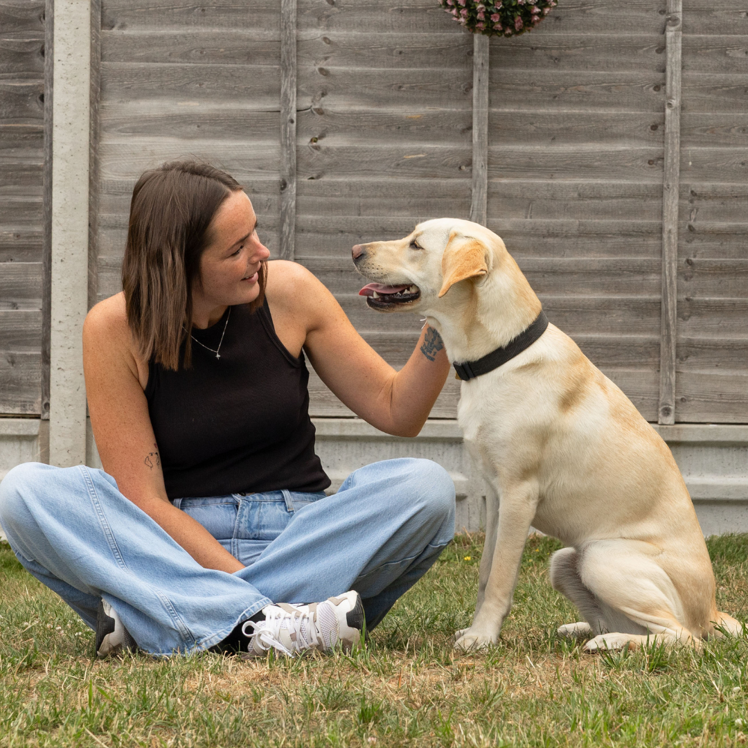 Guide Dogs UK Facebook ad: Raise a future guide dog
