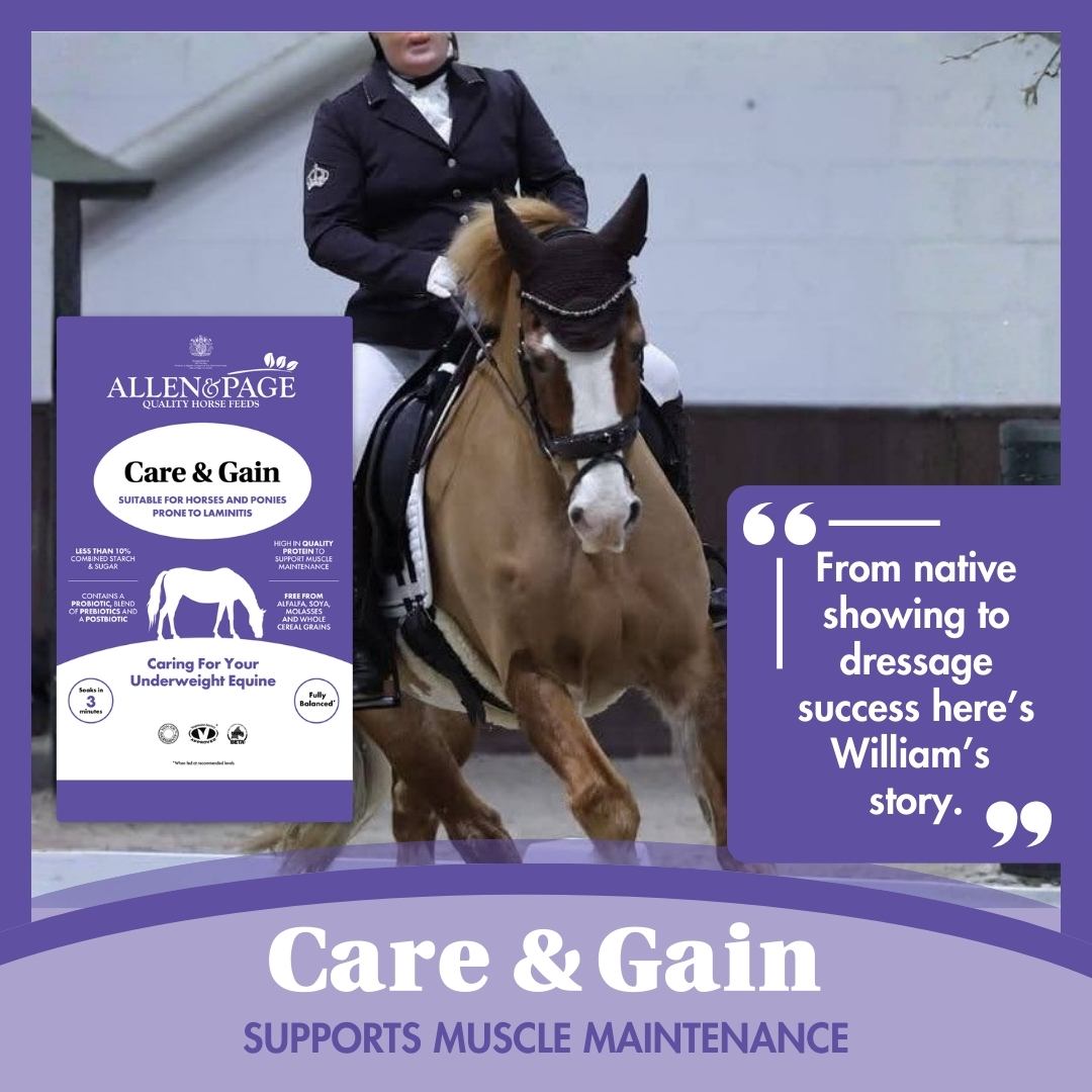 Allen & Page Horse Feeds Facebook ad: William's story