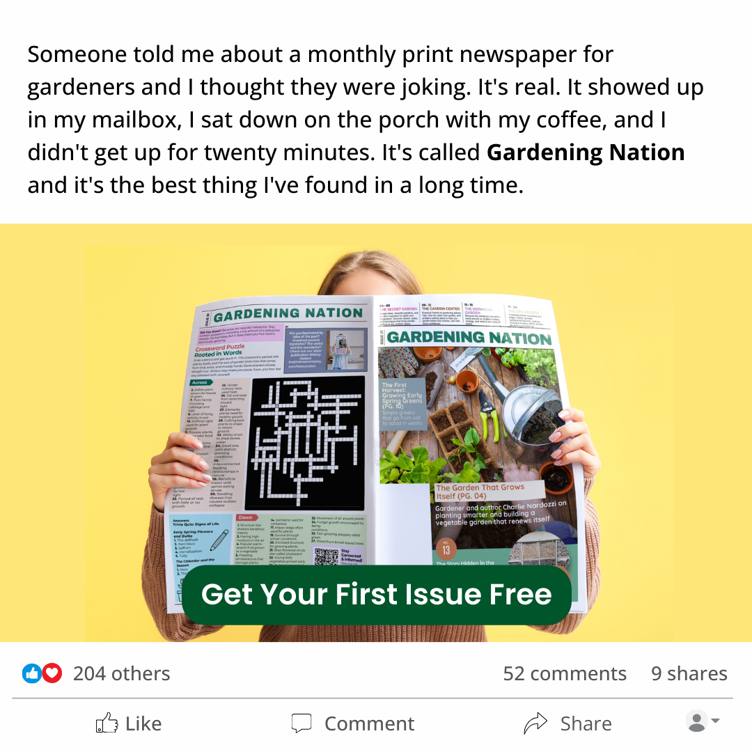 The Kindness Company Facebook ad