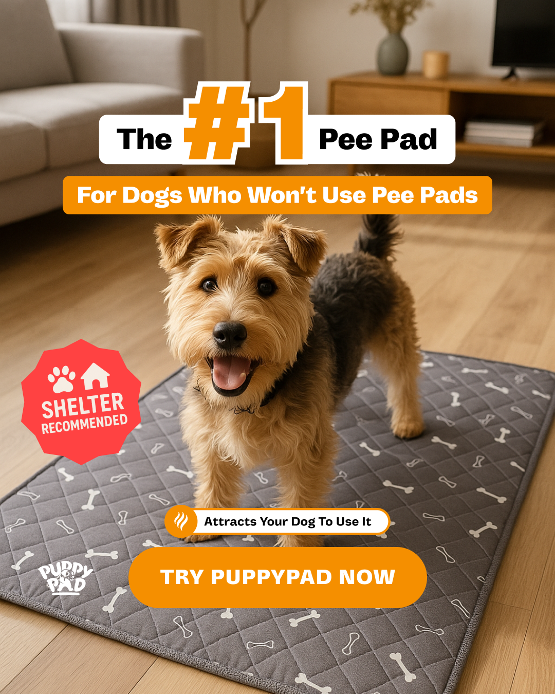 PuppyPad Facebook ad
