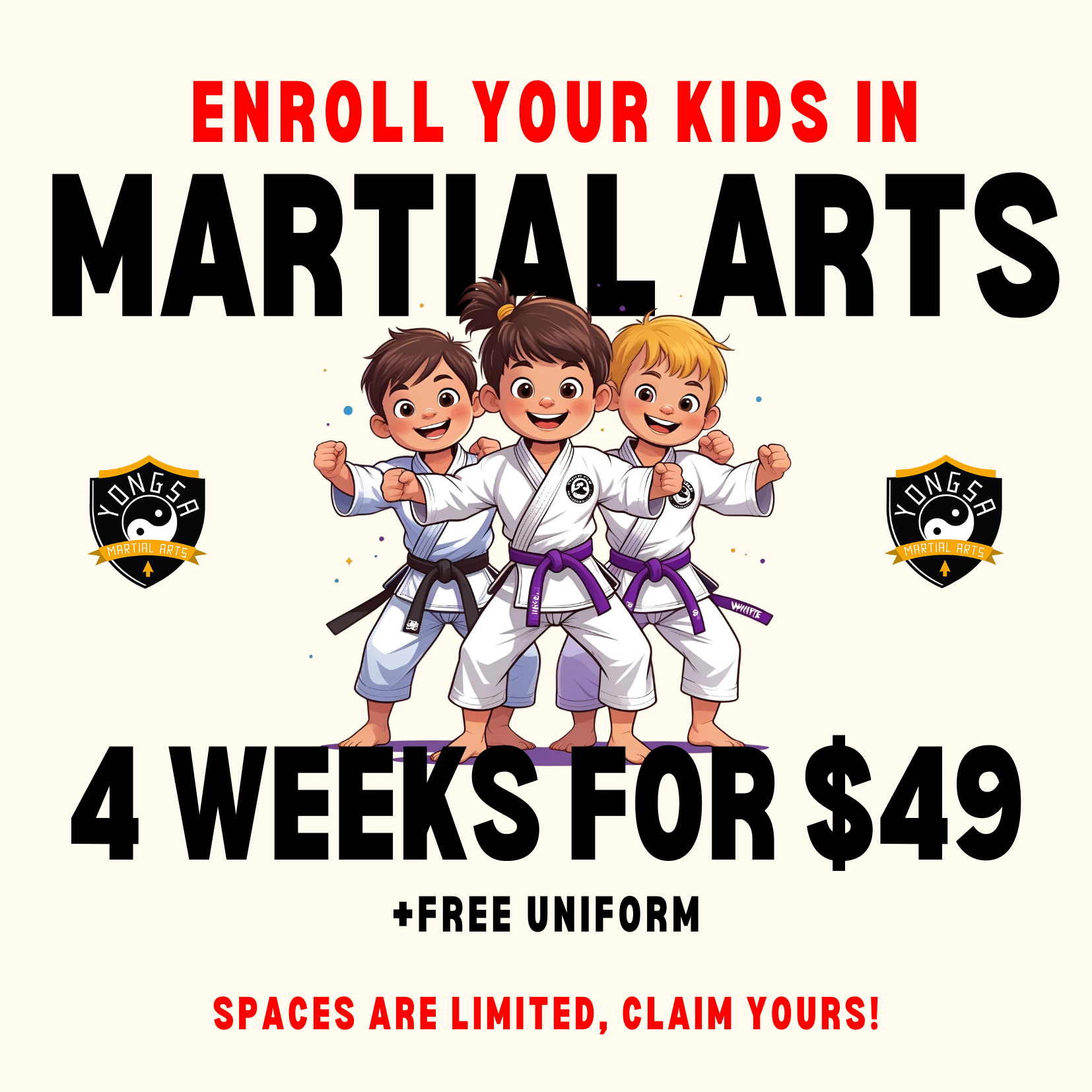 Yongsa Martial Arts Facebook ad
