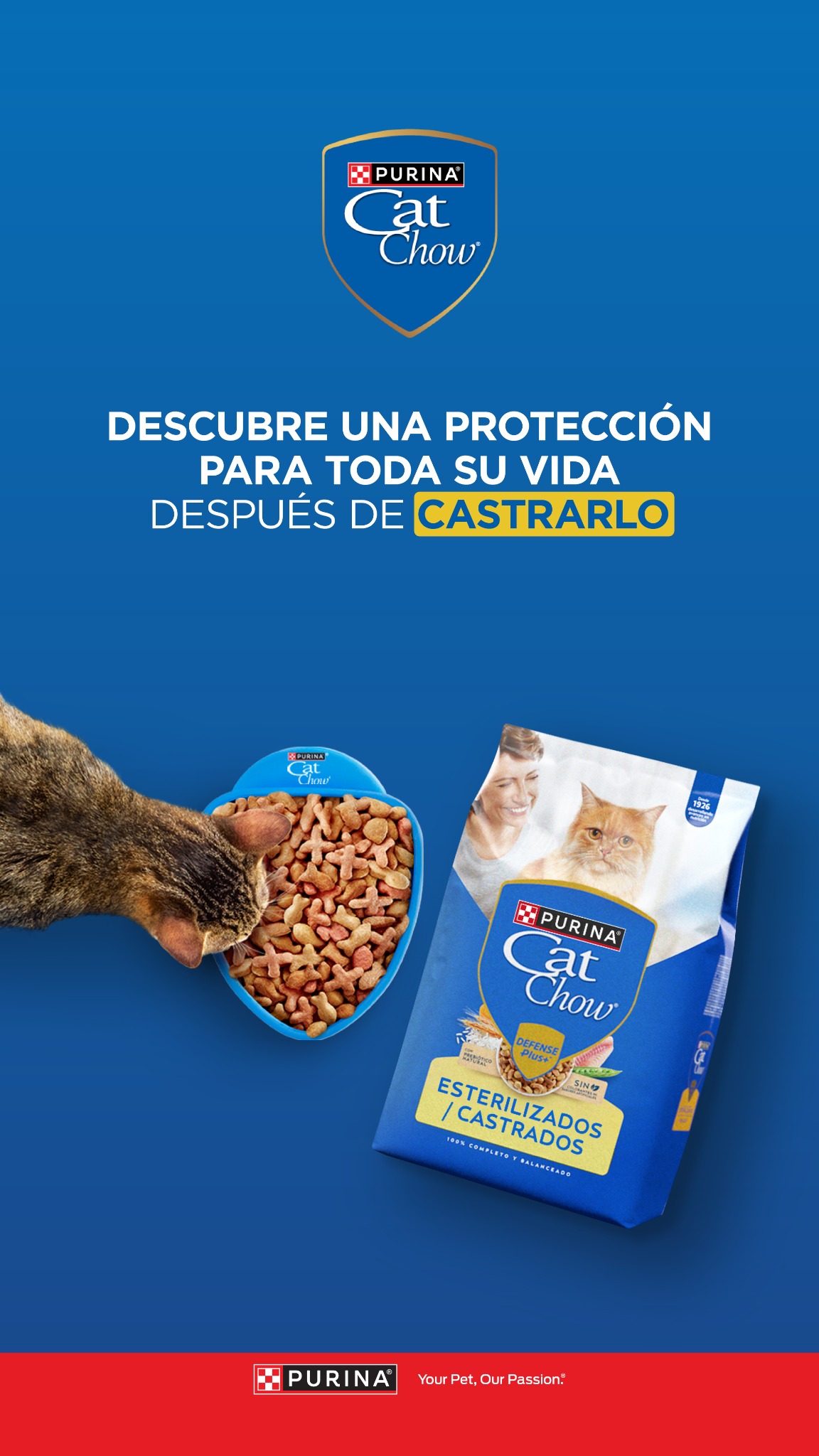 Purina Cat Chow Facebook ad