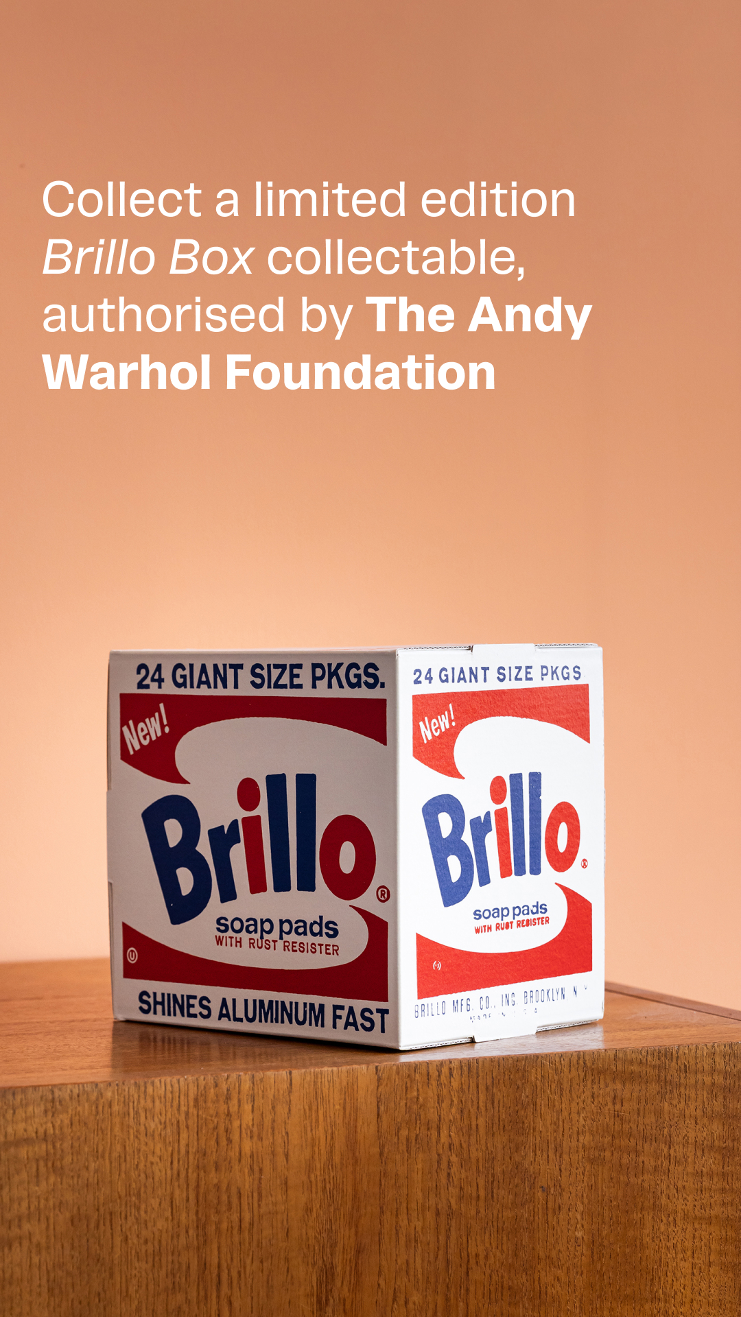 The Andy Warhol Foundation for the Visual Arts Facebook ad