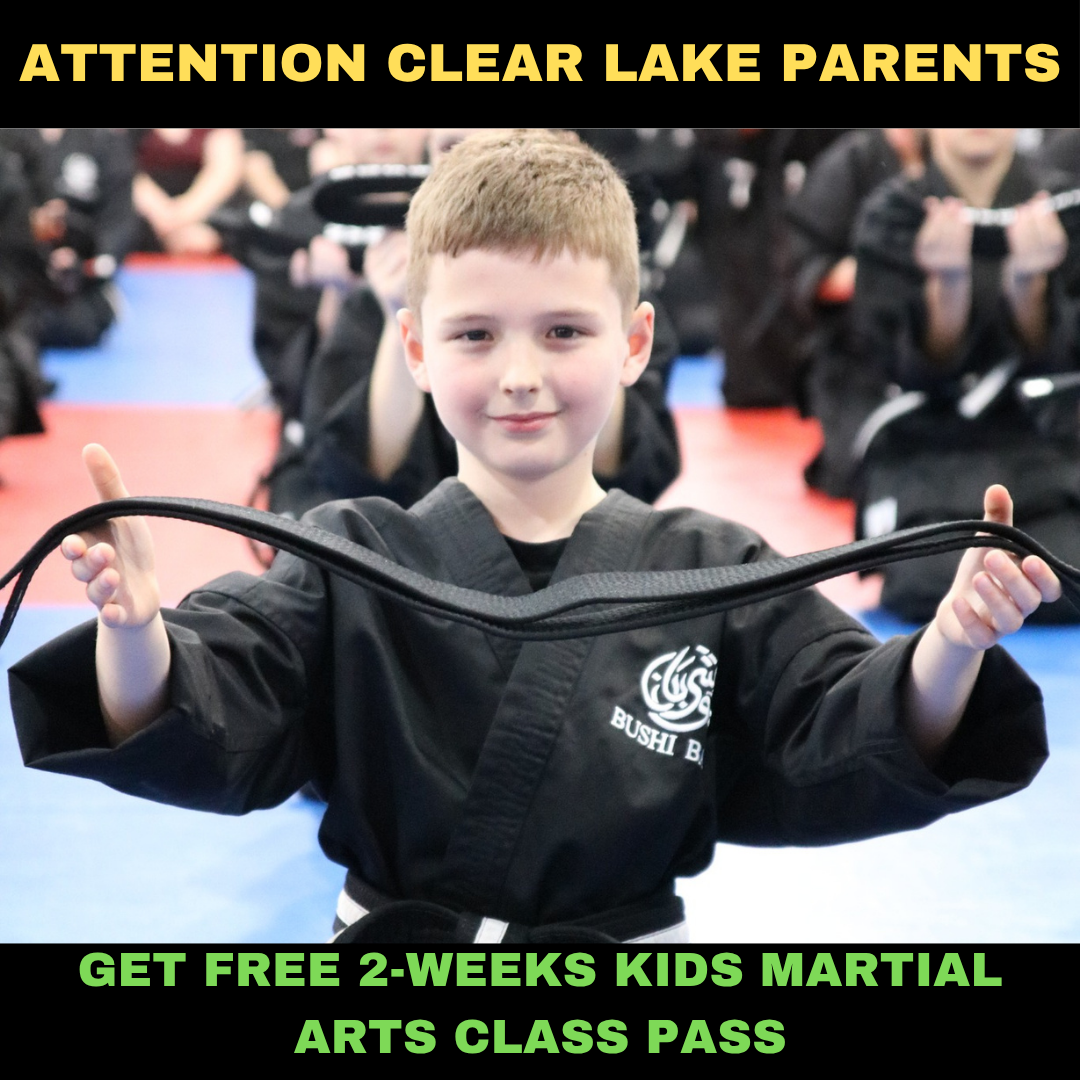Bushi Ban Clear Lake Facebook ad: Want a FREE 2-Week, Kids Martial Arts Class Pass?