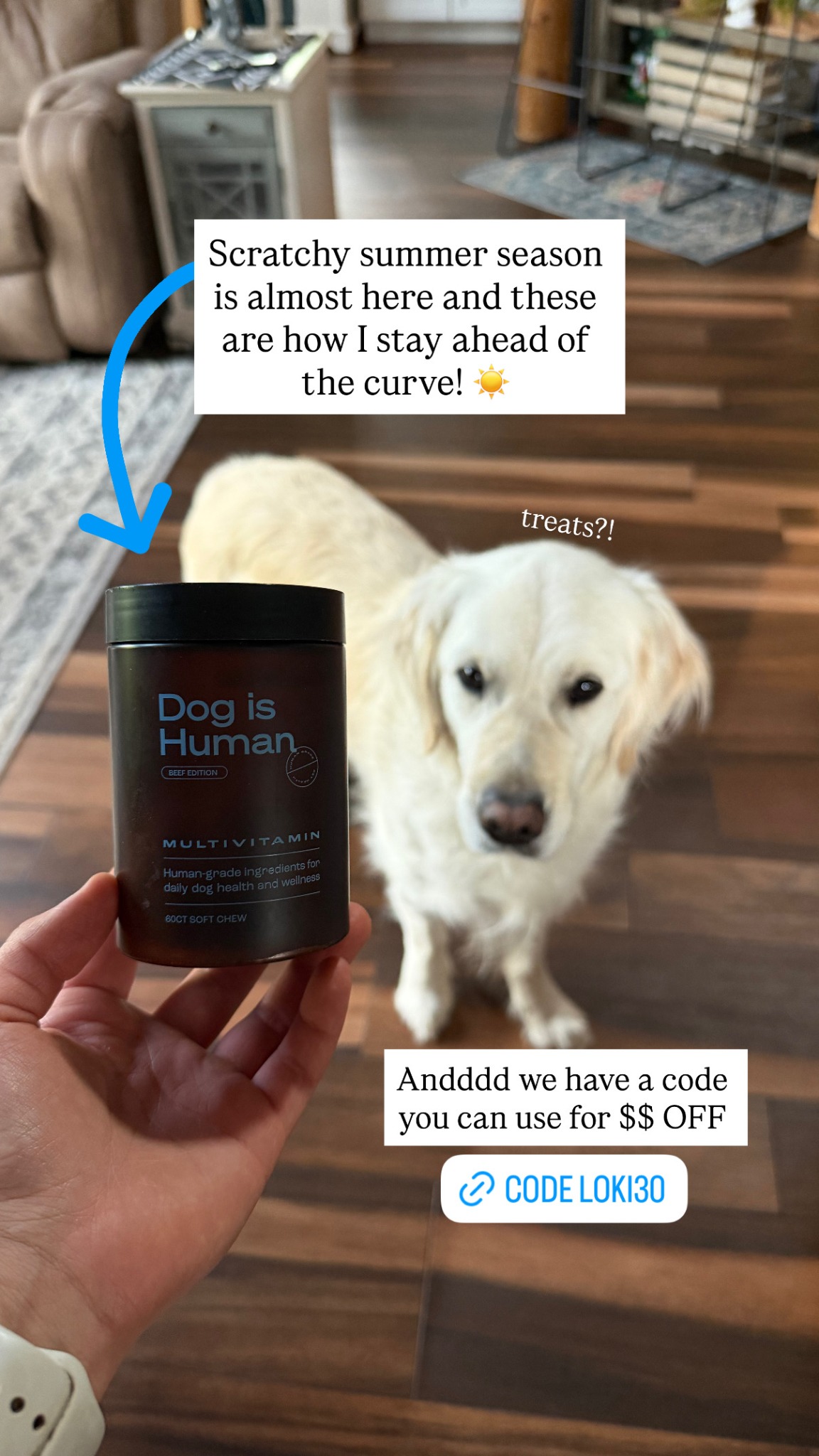 Dog is Human Facebook ad