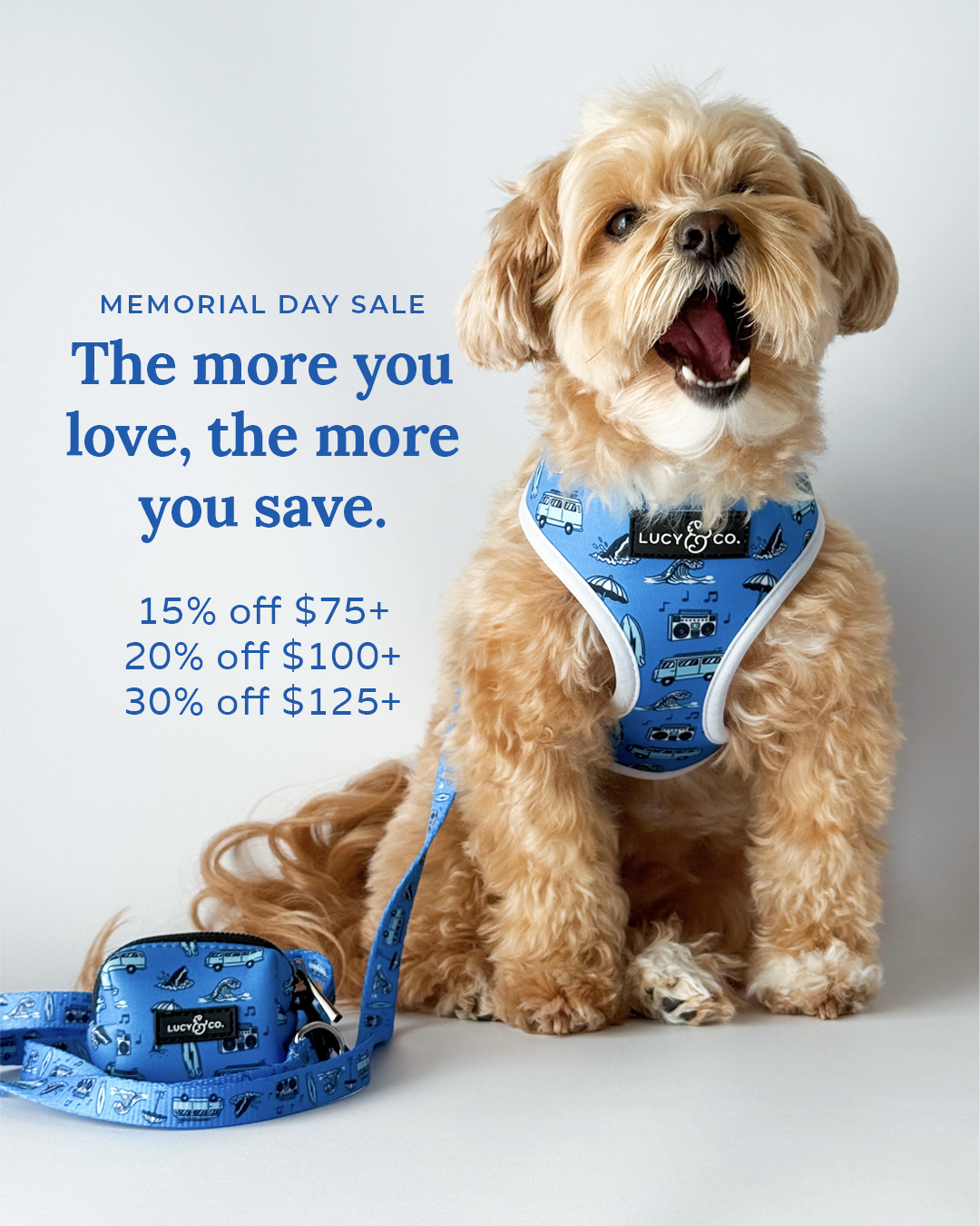 Lucy & Co. Facebook ad