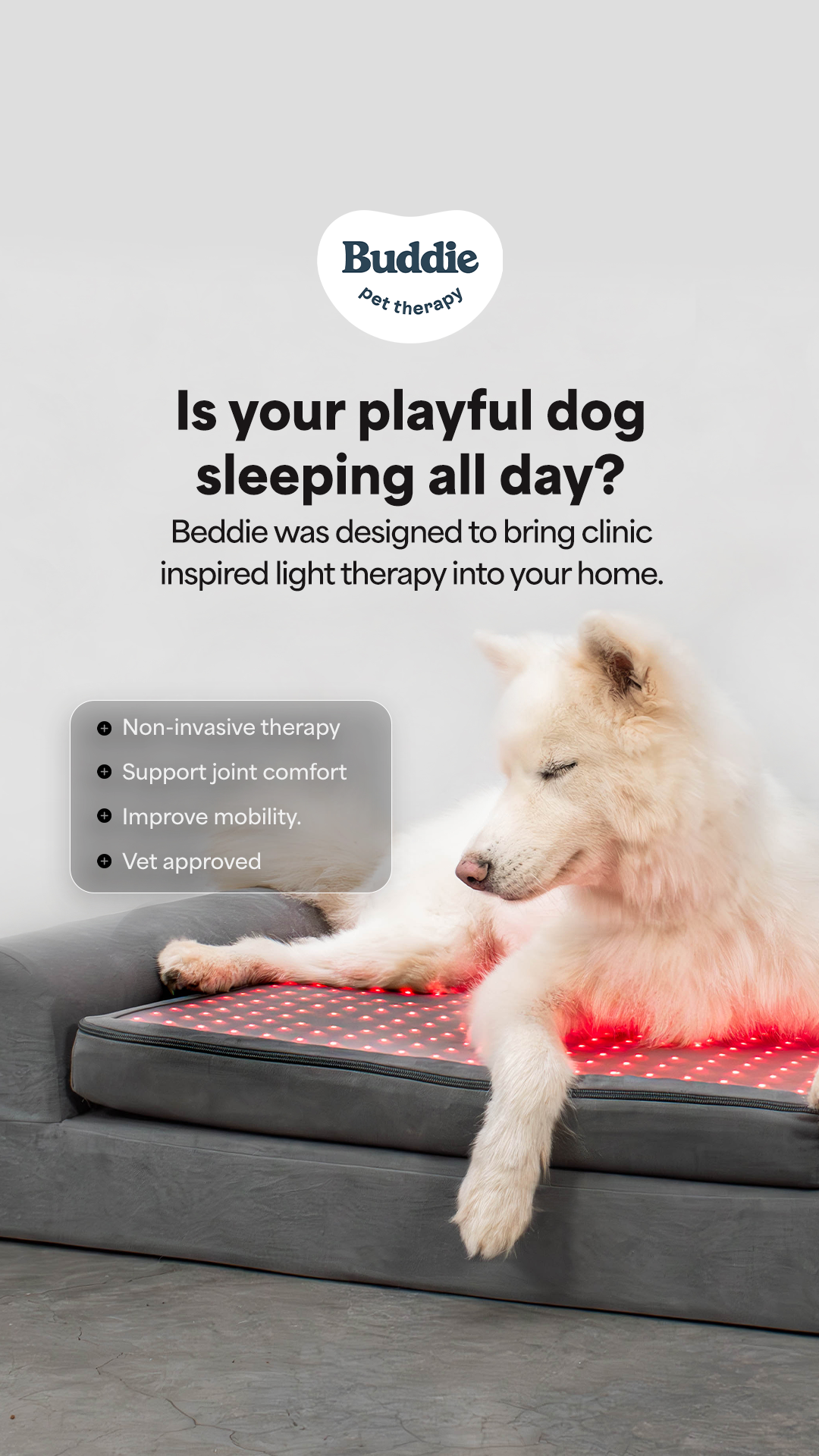 Buddie Pet Therapy Facebook ad