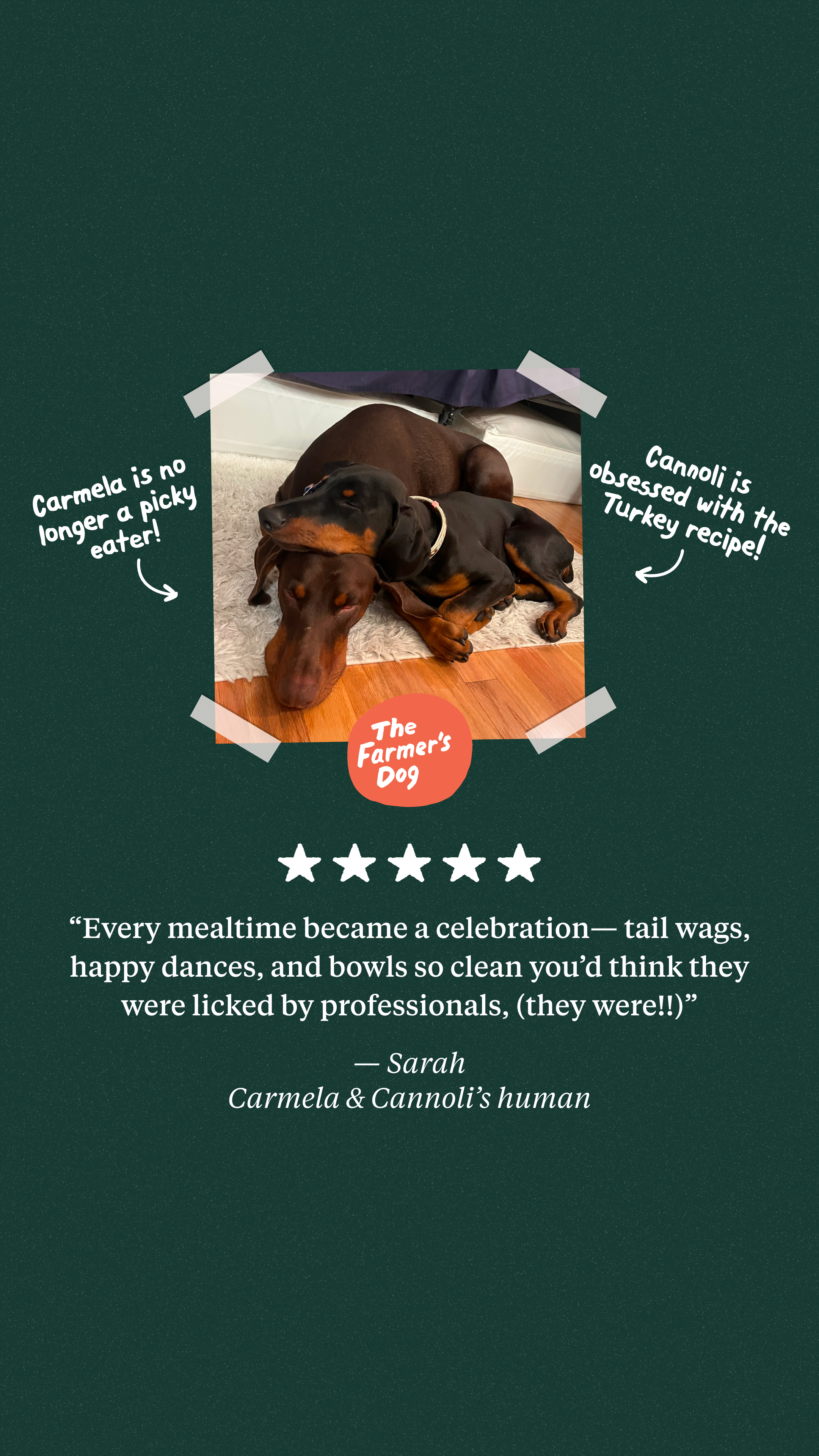 The Farmer's Dog Facebook ad