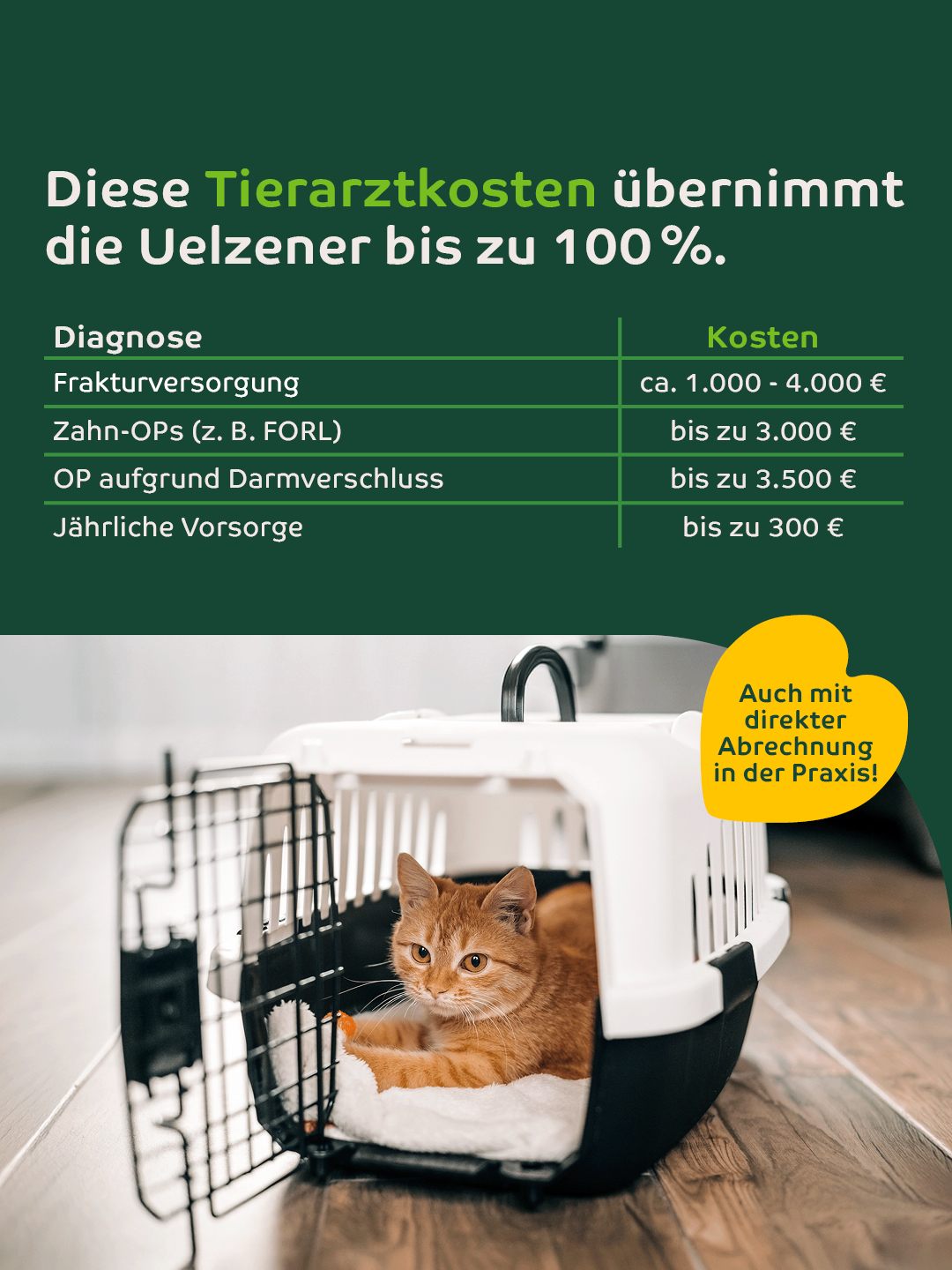 Uelzener Versicherungen Facebook ad