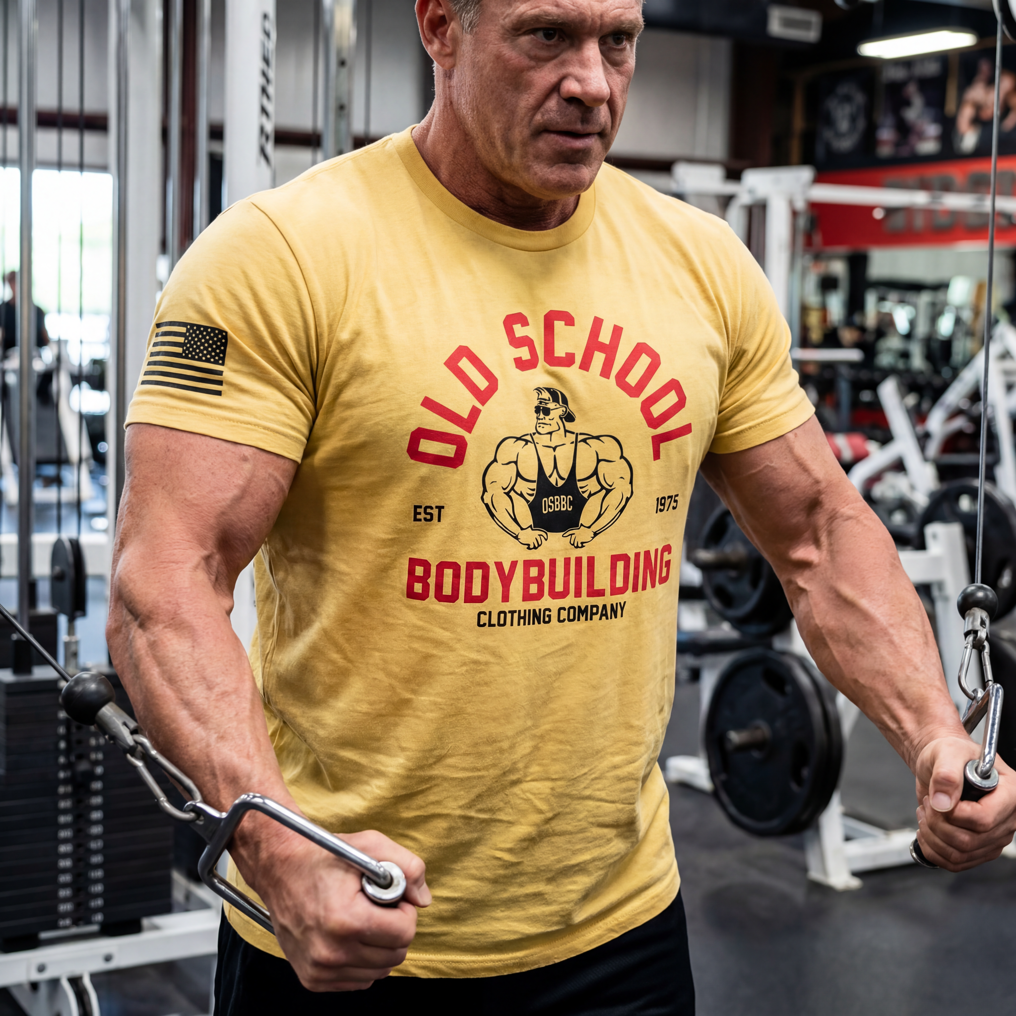 Old School Bodybuilding Clothing Co Facebook ad: Are you old school?
