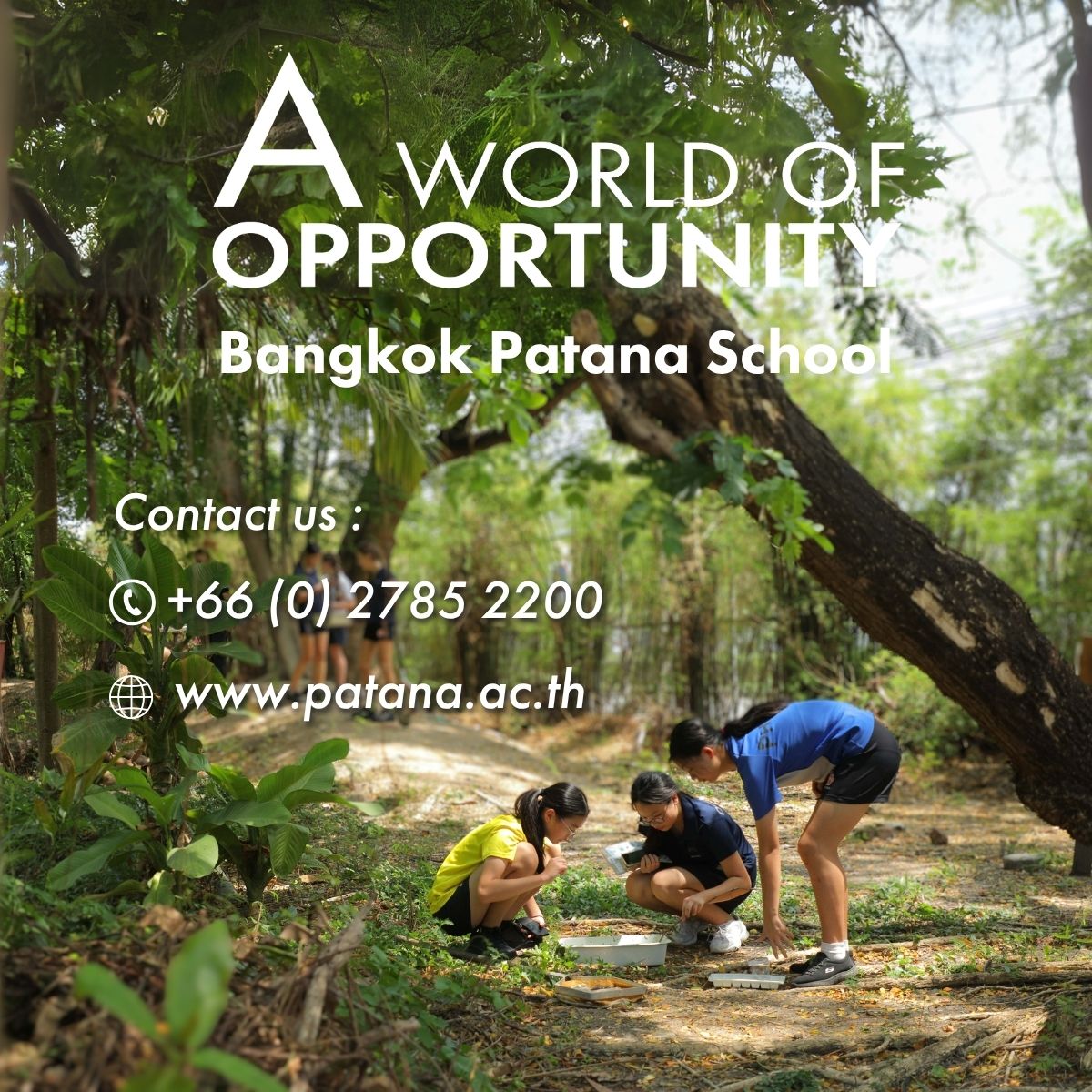 Bangkok Patana School Facebook ad