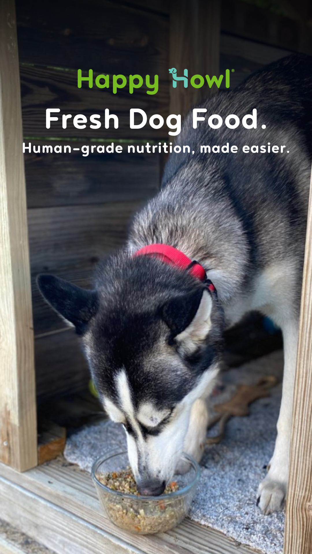 Happy Howl Facebook ad