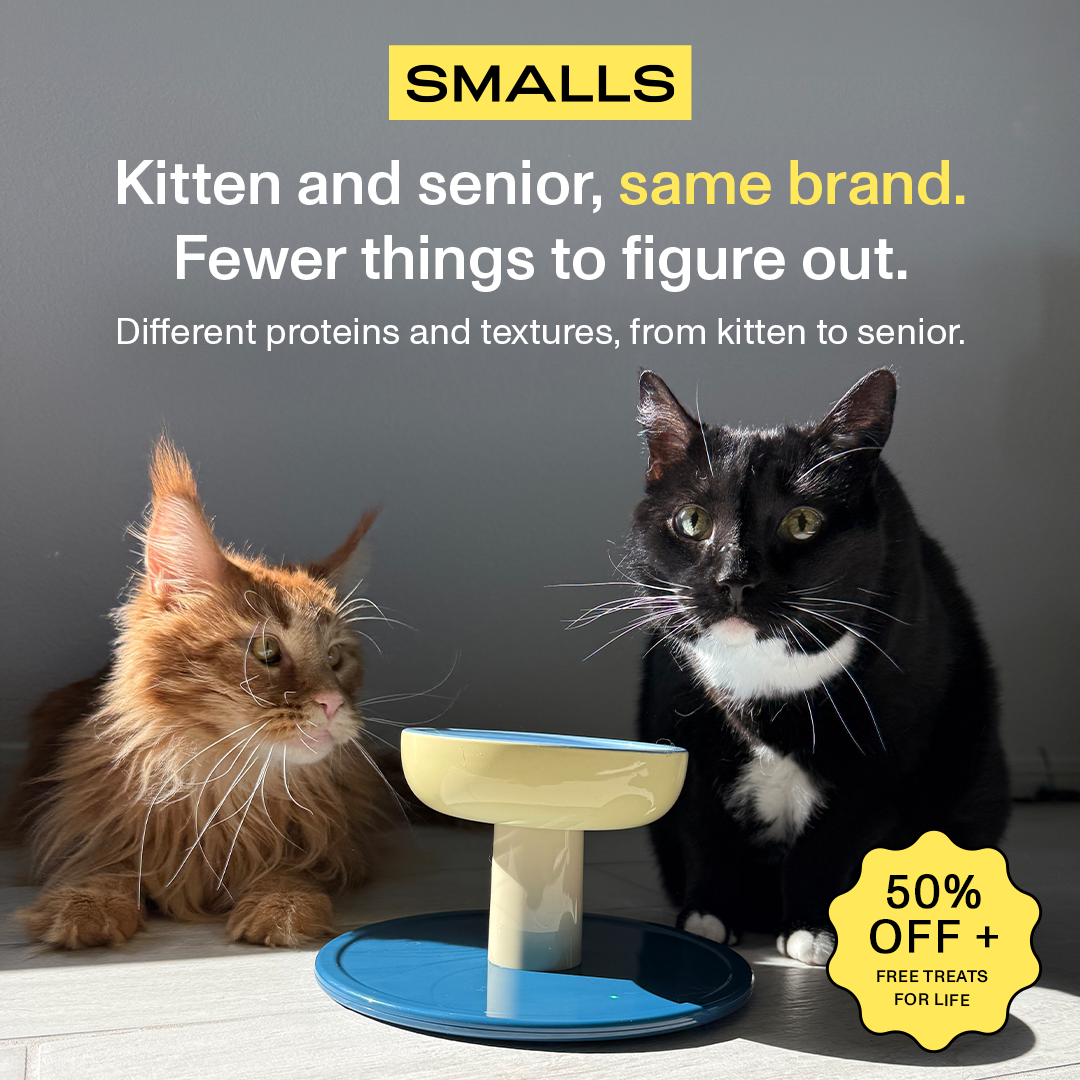Smalls Facebook ad: Human-Grade Fresh Cat Food