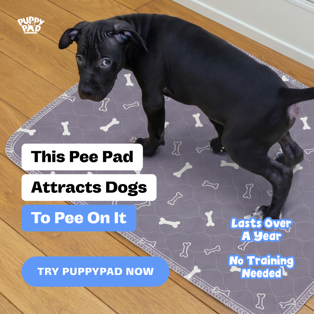 PuppyPad Facebook ad