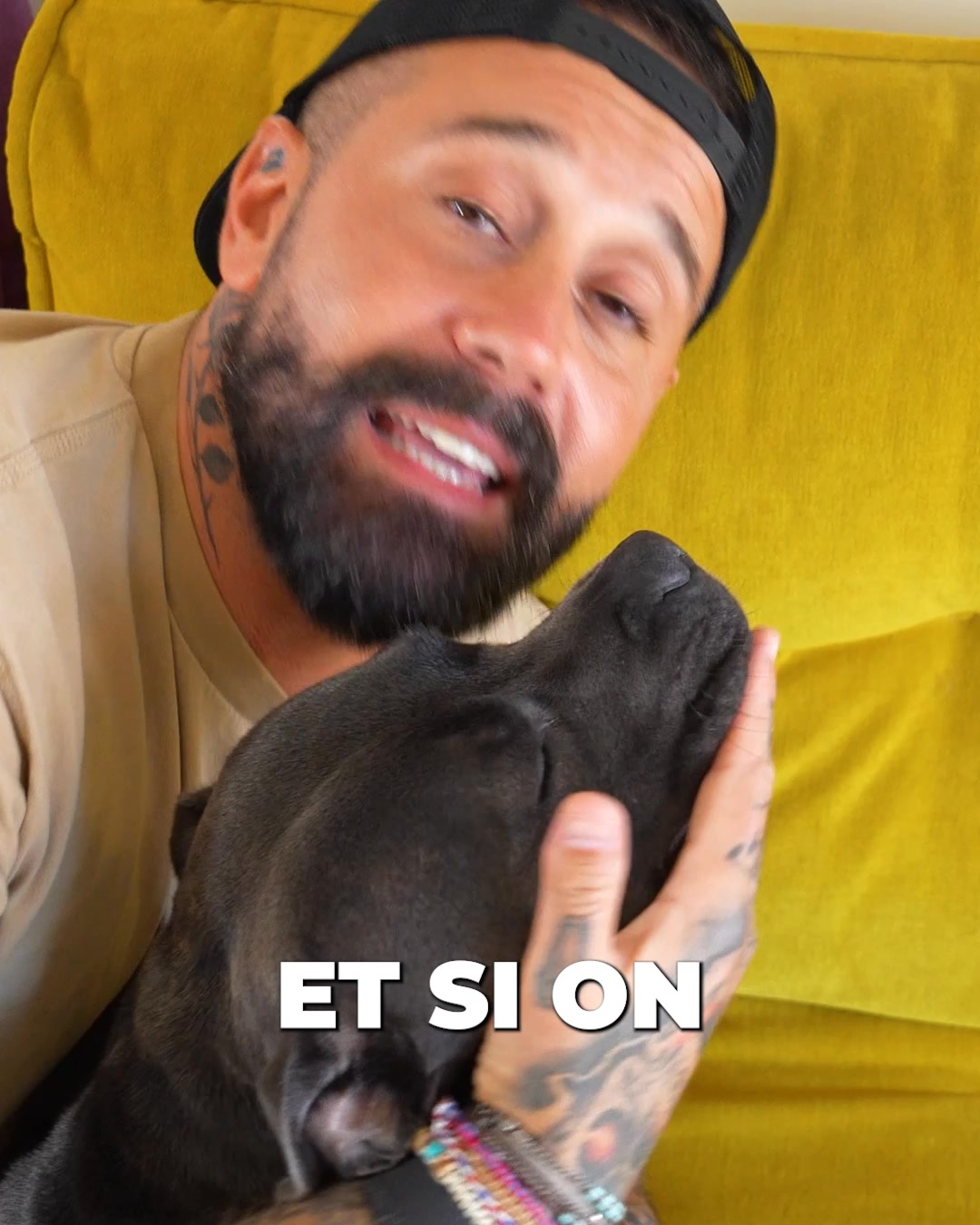 Snob Dog Academy Facebook ad: Formations en ligne