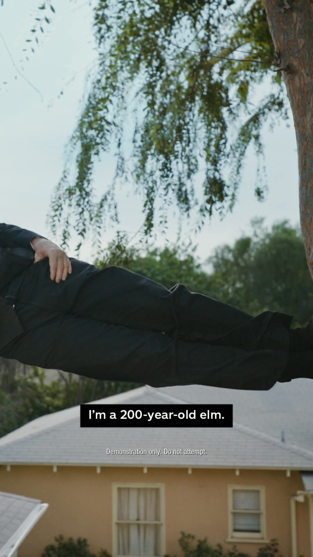 Allstate Facebook ad: Before your branch calls it quits and takes…