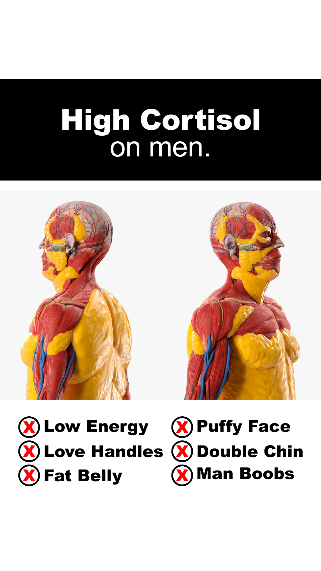 Primal Viking Facebook ad