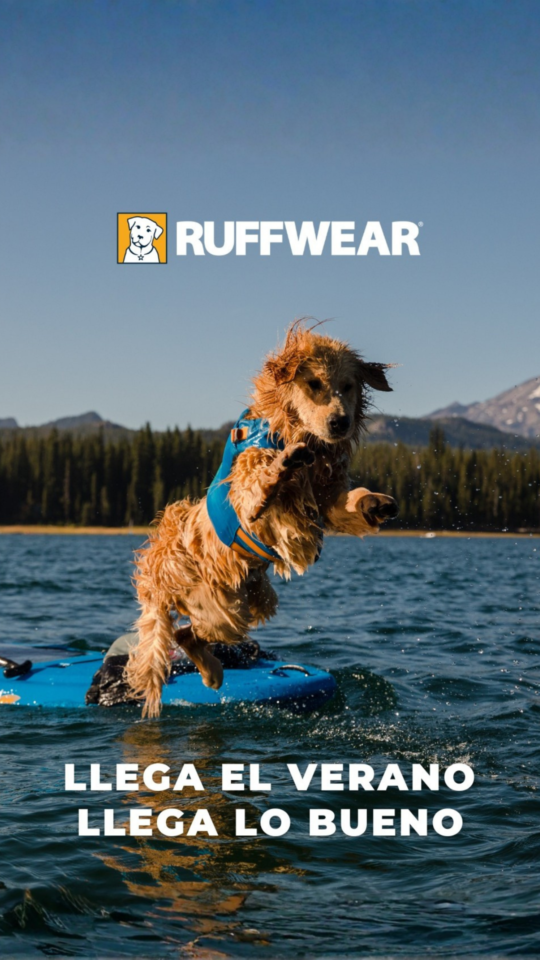 Ruffwear Argentina Facebook ad: El verano empieza mejor equipado.
