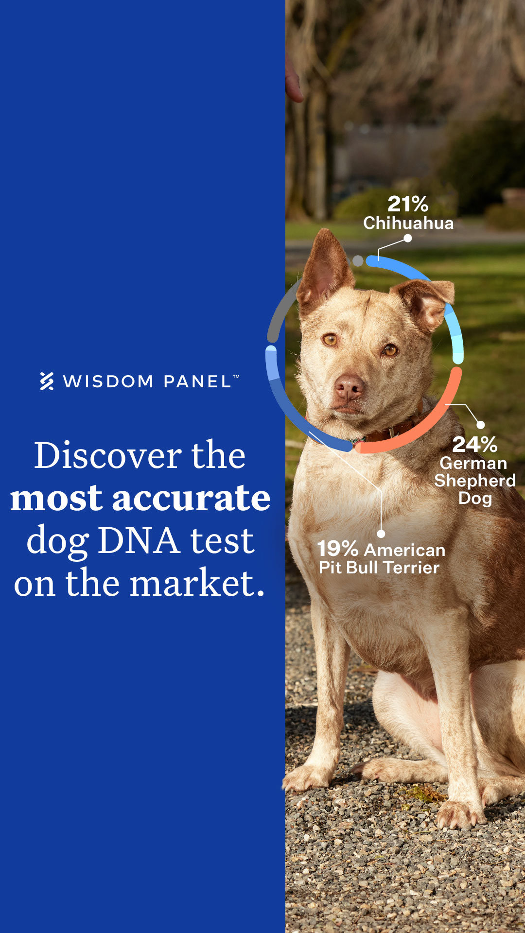 Wisdom Panel Facebook ad