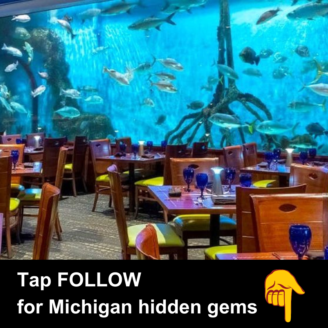 Michigan Day Trips Facebook ad