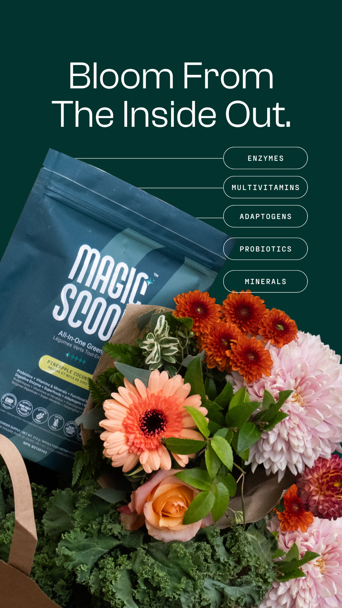 Magic Scoop Facebook ad
