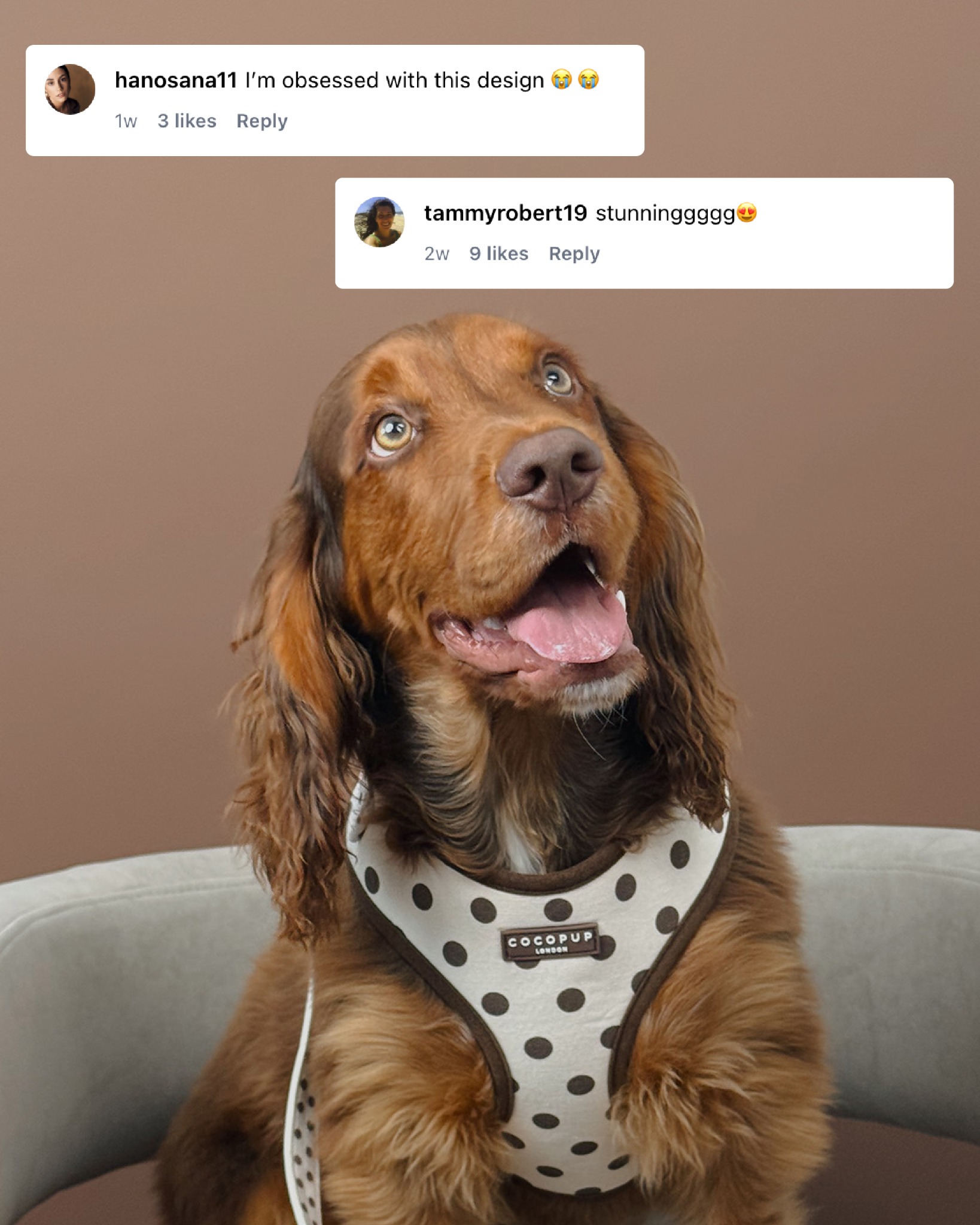 Cocopupuk Facebook ad