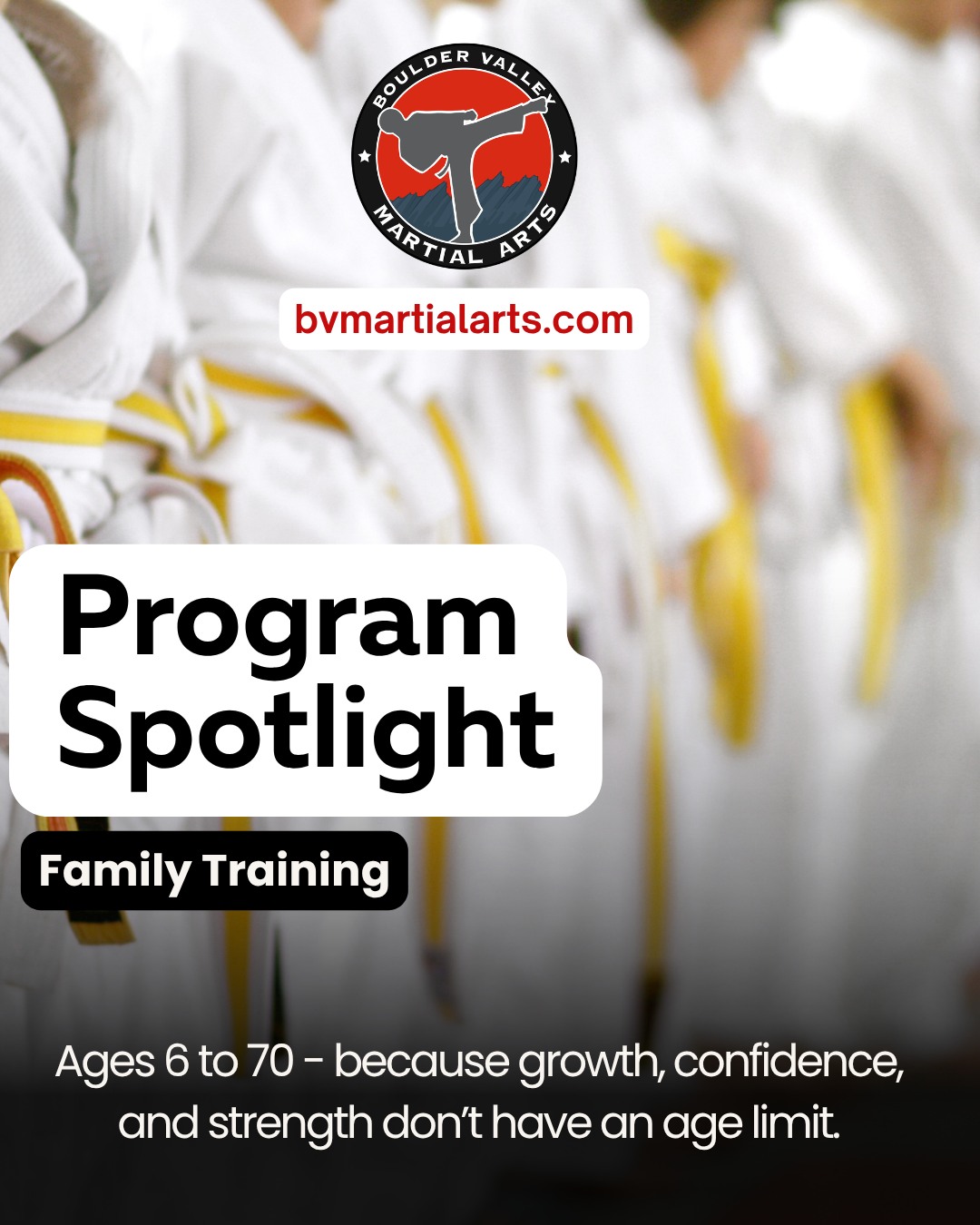 Boulder Valley Martial Arts Facebook ad: Program Spotlight: Family Training