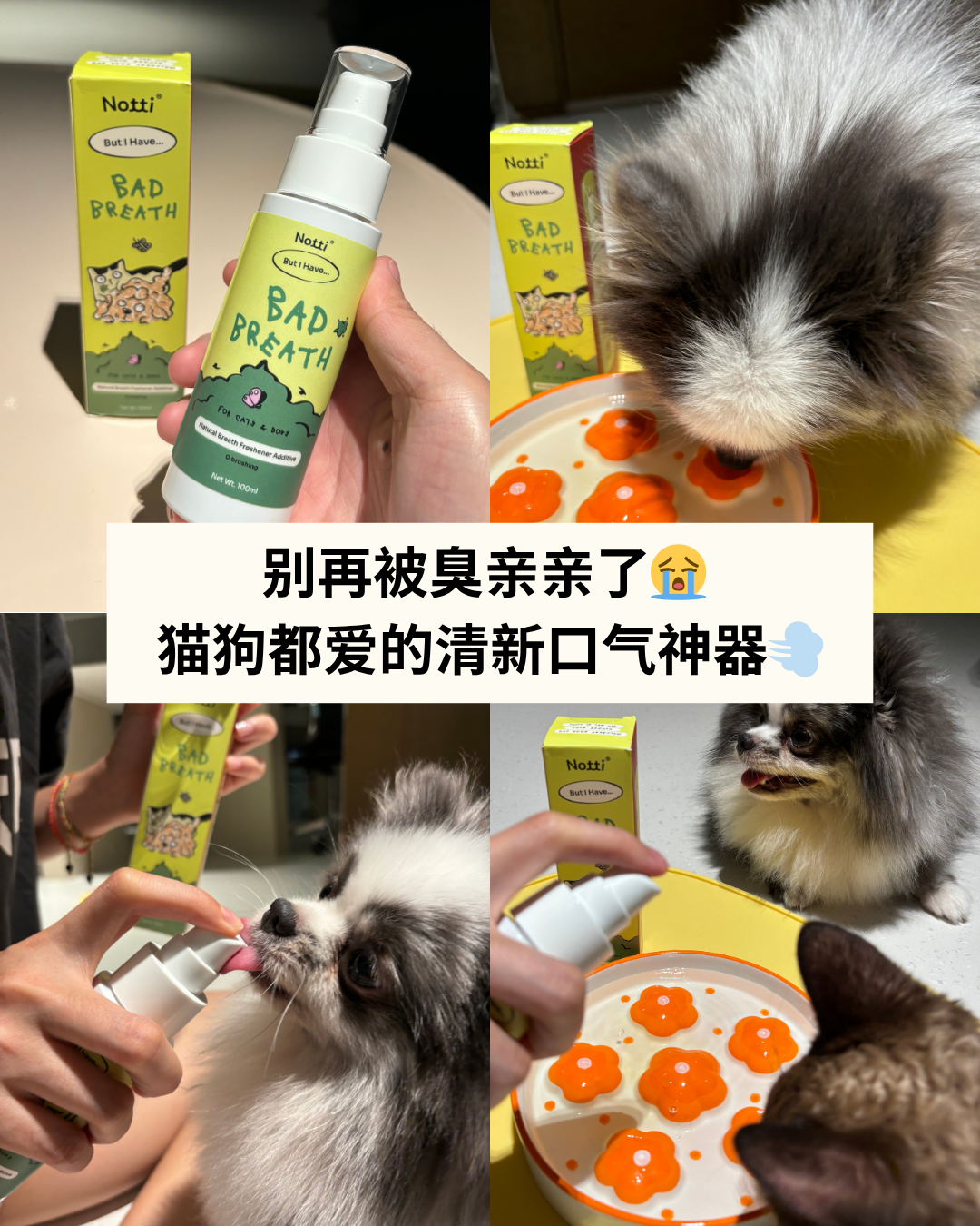 Notti Pet Food Facebook ad