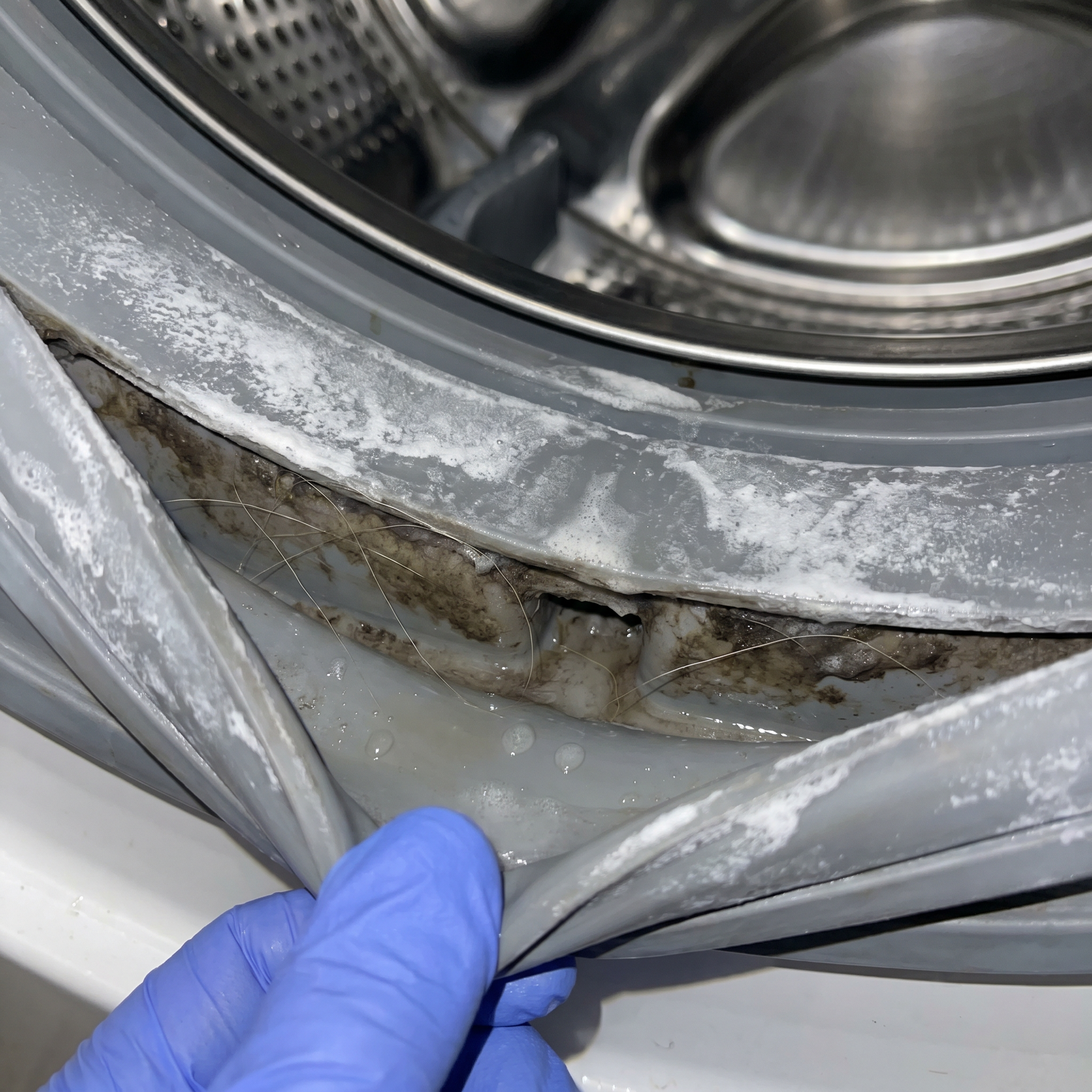 The National Home Laundry Association Facebook ad: Dog Moms: Affresh Isn't Cleaning Your Washer