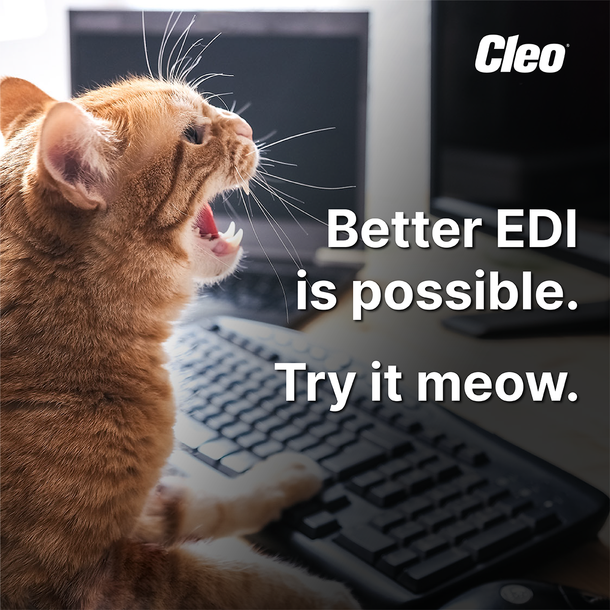 Cleo Facebook ad