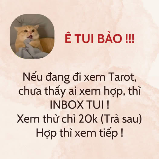 Bình An Tarot Facebook ad: Theo tui thấy thì.Xem Tarot luôn là 1…