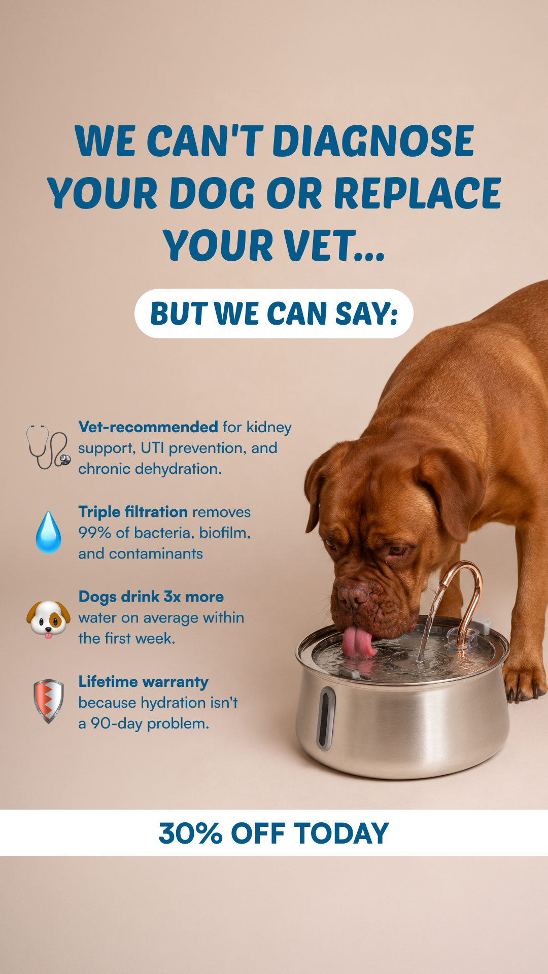 Rhykin Pet Co Facebook ad