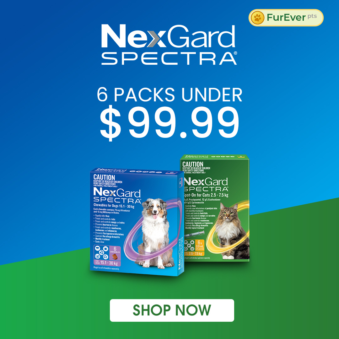 Budget Pet Products Facebook ad