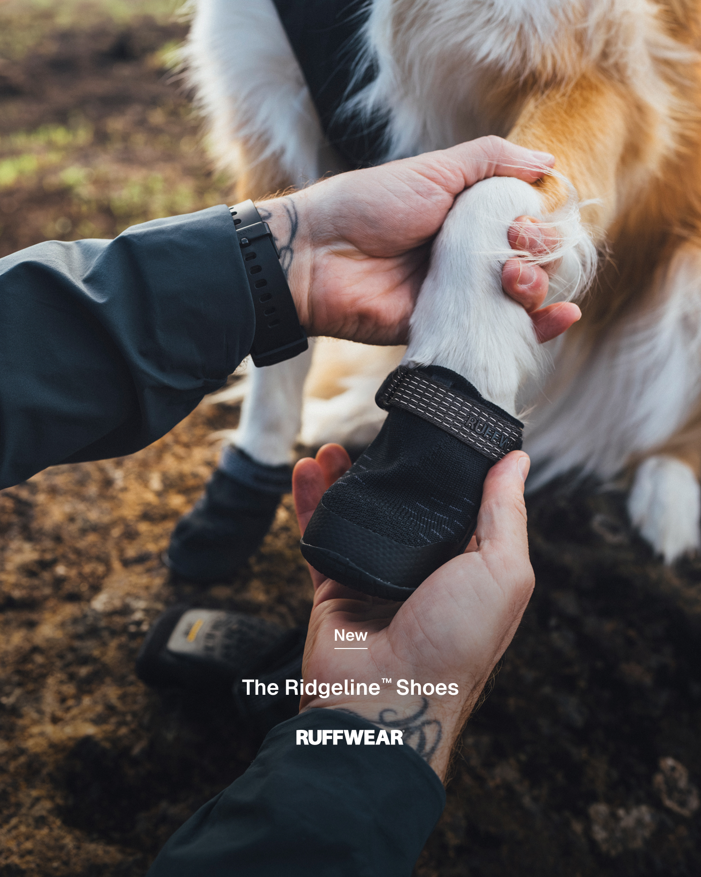 Ruffwear Facebook ad