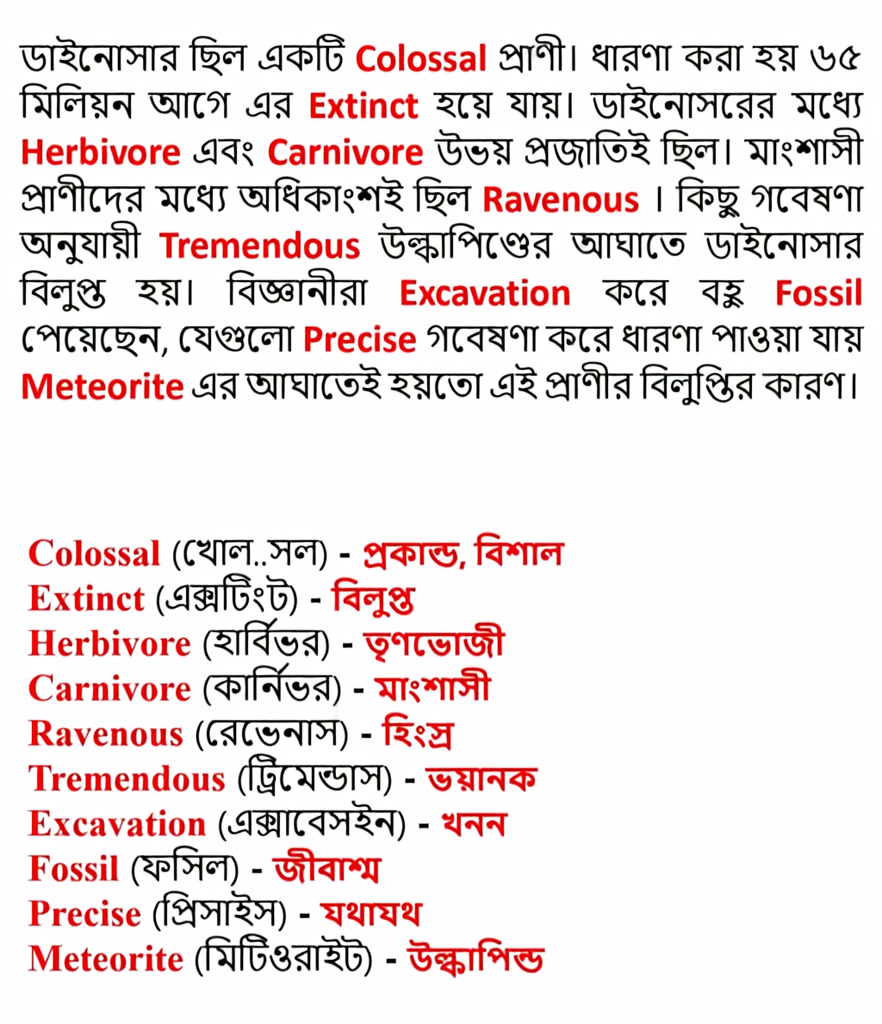 Vocabulary Trainer Facebook ad: **মুখস্থ নয়, স্মার্ট টেকনিক দিয়ে ভোকাবুলারি শিখুন!**